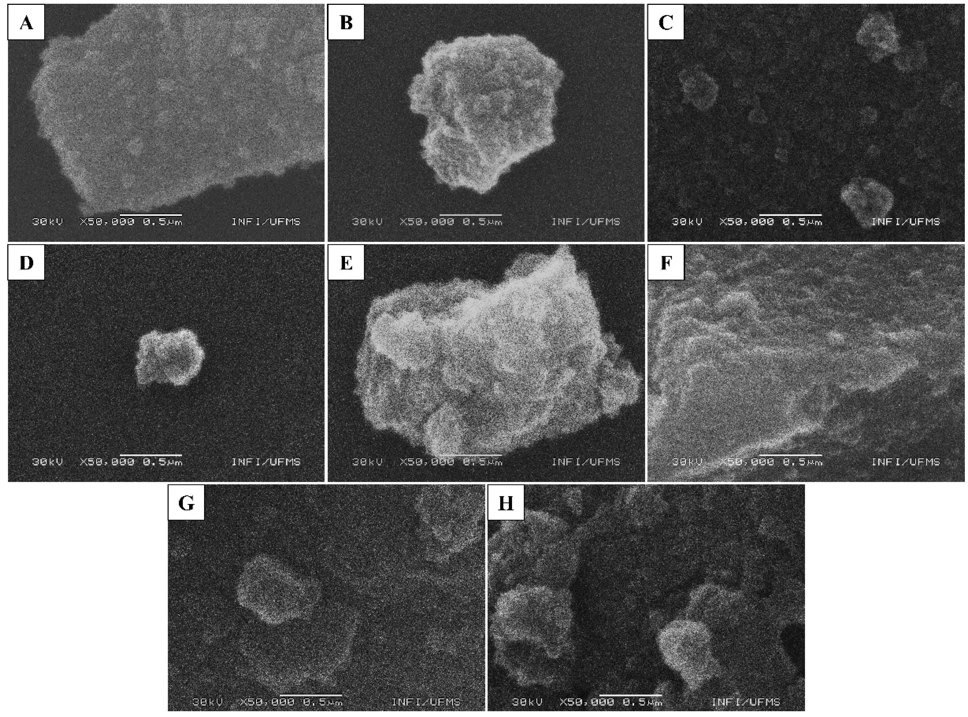 Nanomaterials 12 02538 g003 550