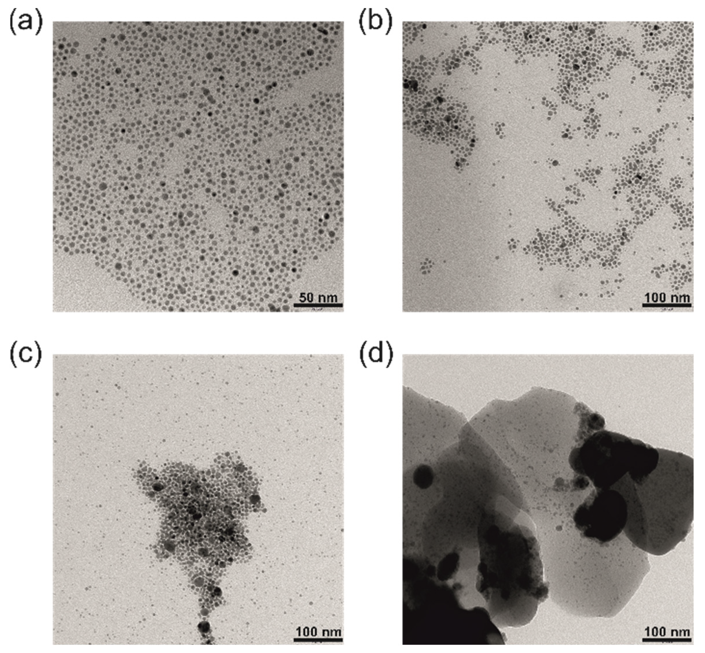 Nanomaterials 12 02542 g006