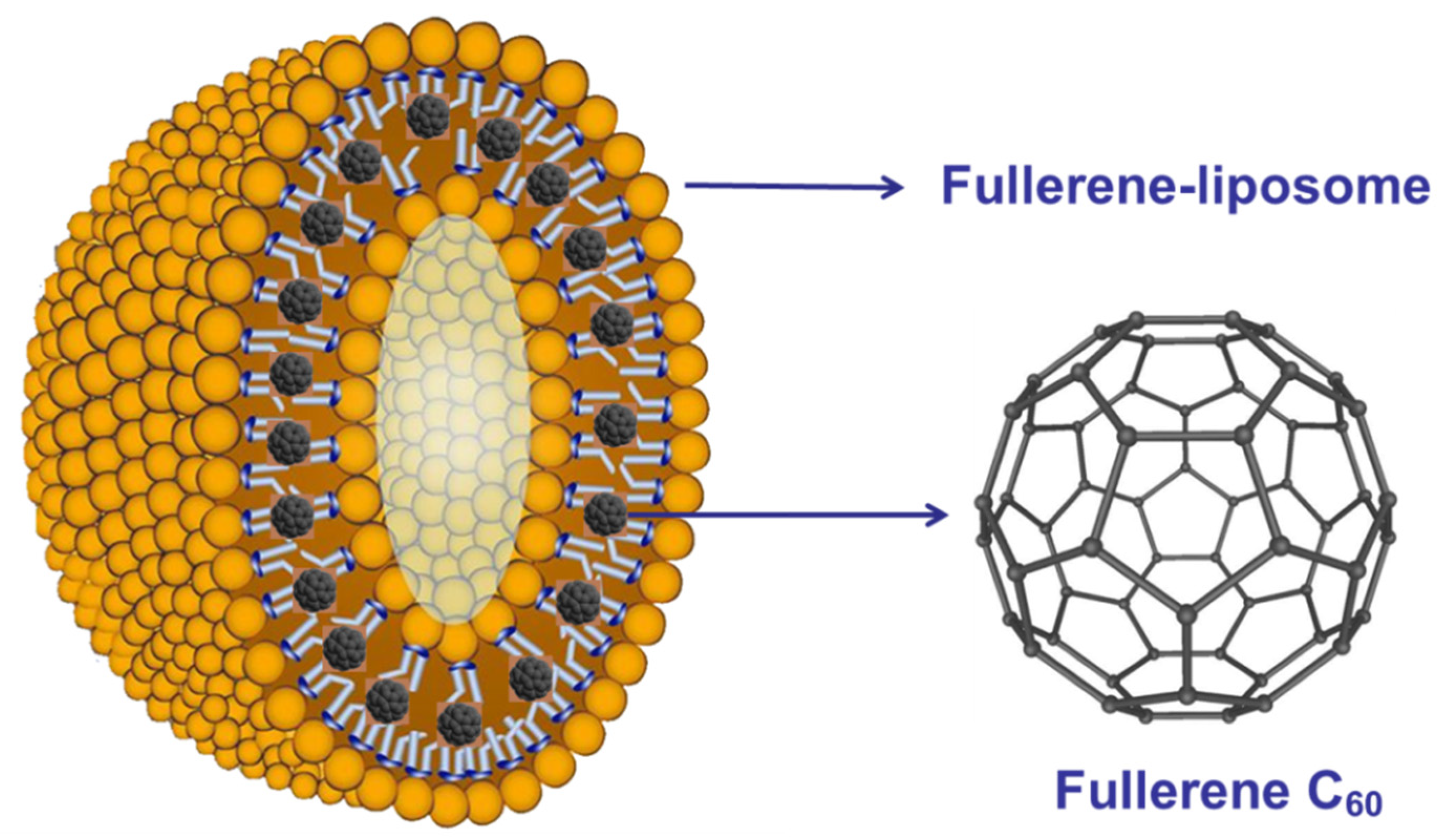 Nanomaterials 12 02547 g021 Nanomaterials 12 02547 g021