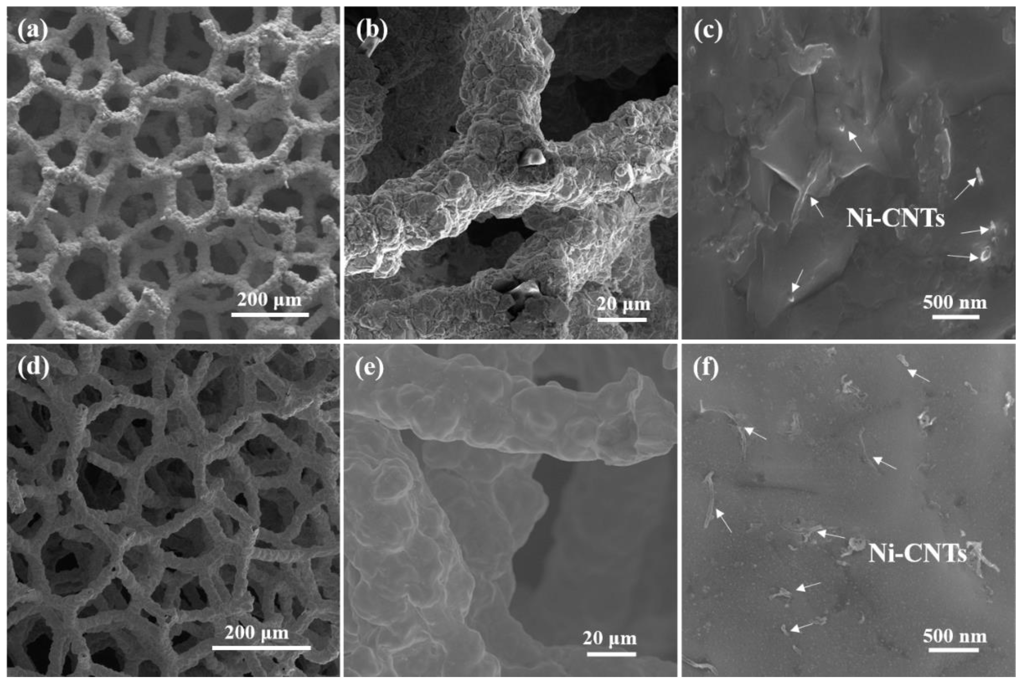 Nanomaterials 12 02548 g003