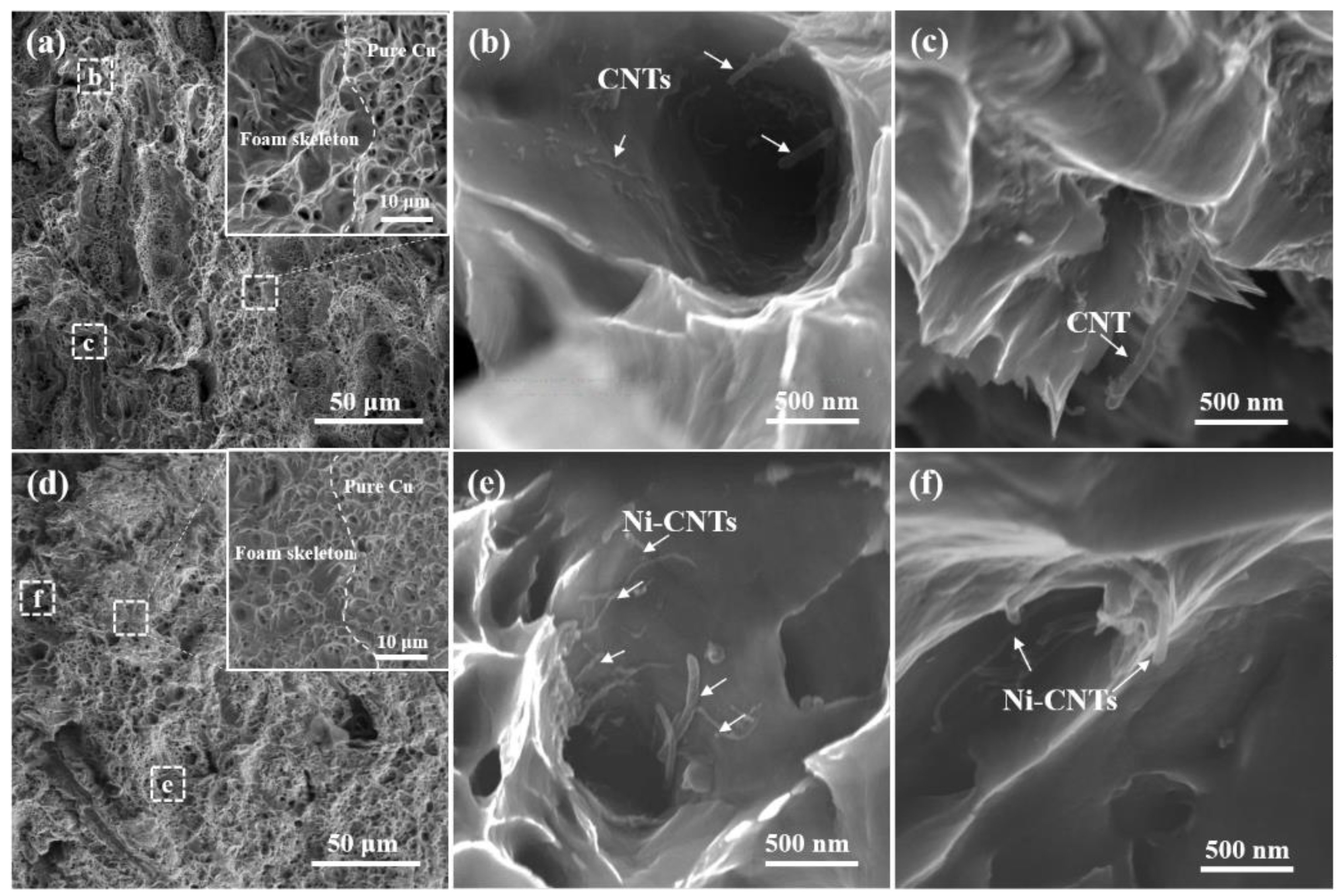 Nanomaterials 12 02548 g008