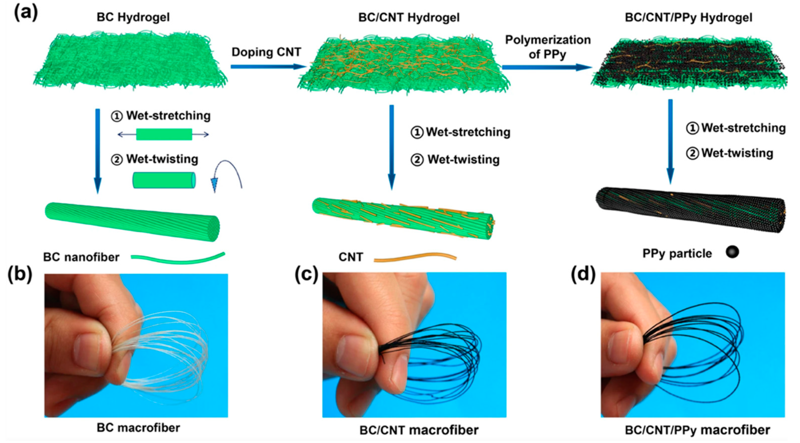 Nanomaterials 12 02549 g004