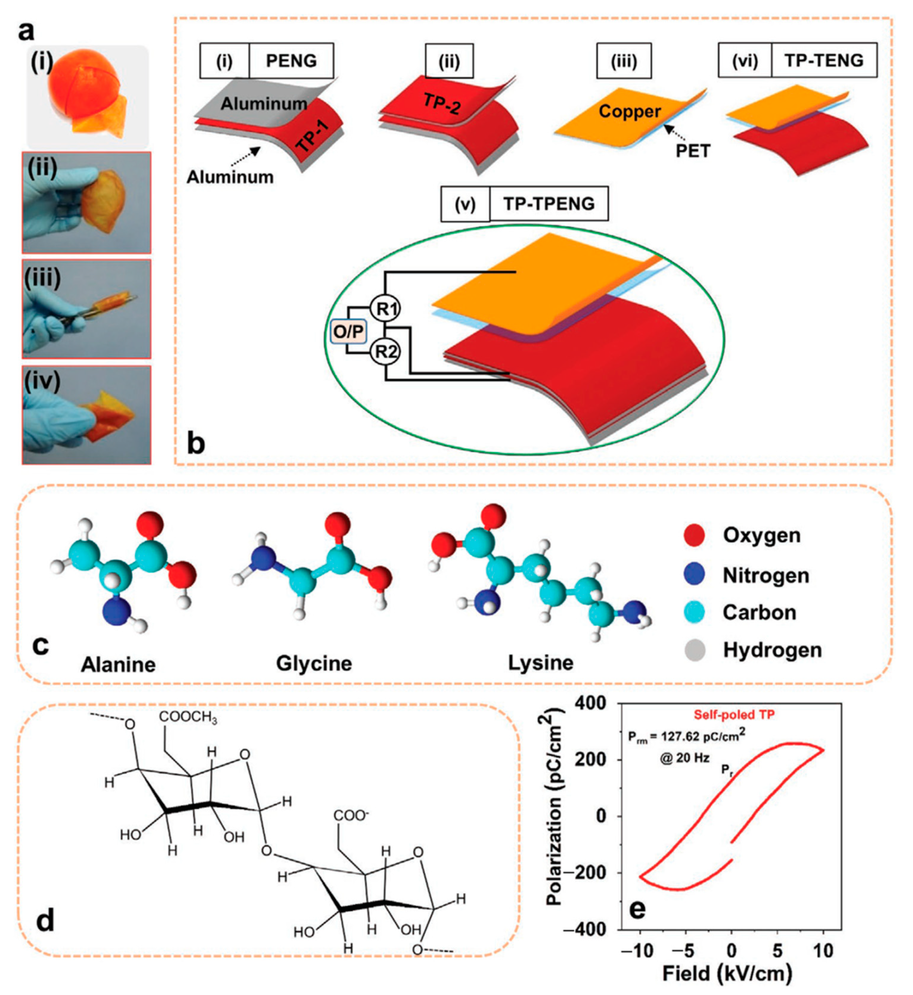 Nanomaterials 12 02549 g013