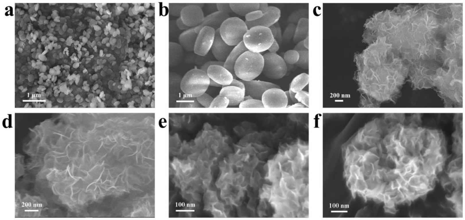 Nanomaterials 12 02550 g002 550