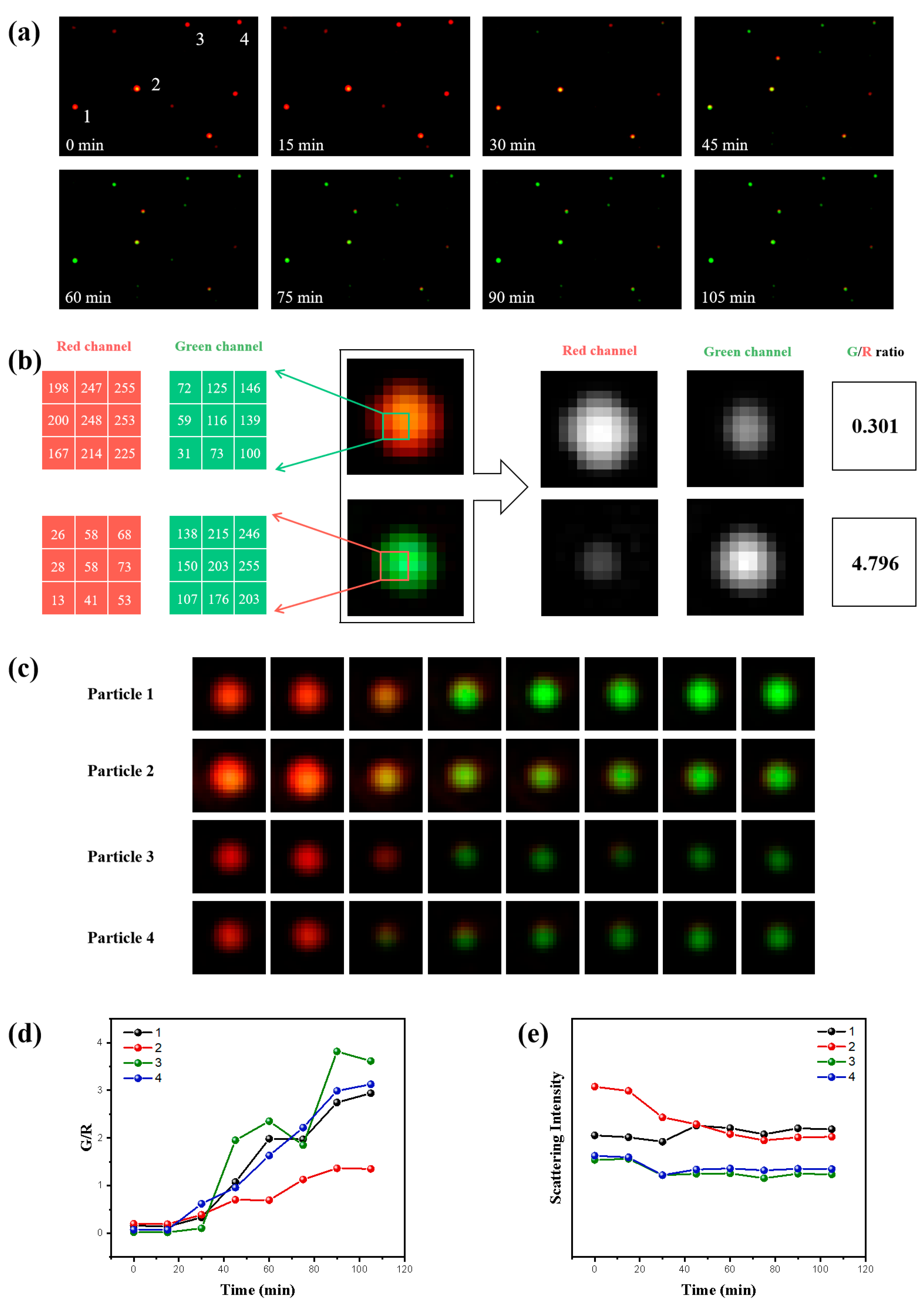 Nanomaterials 12 02555 g003