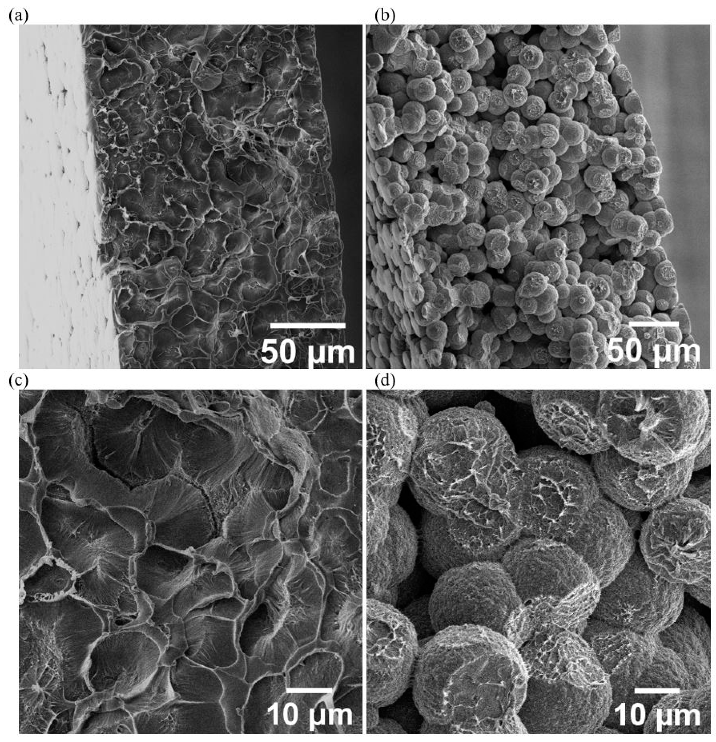 Nanomaterials 12 02558 g003