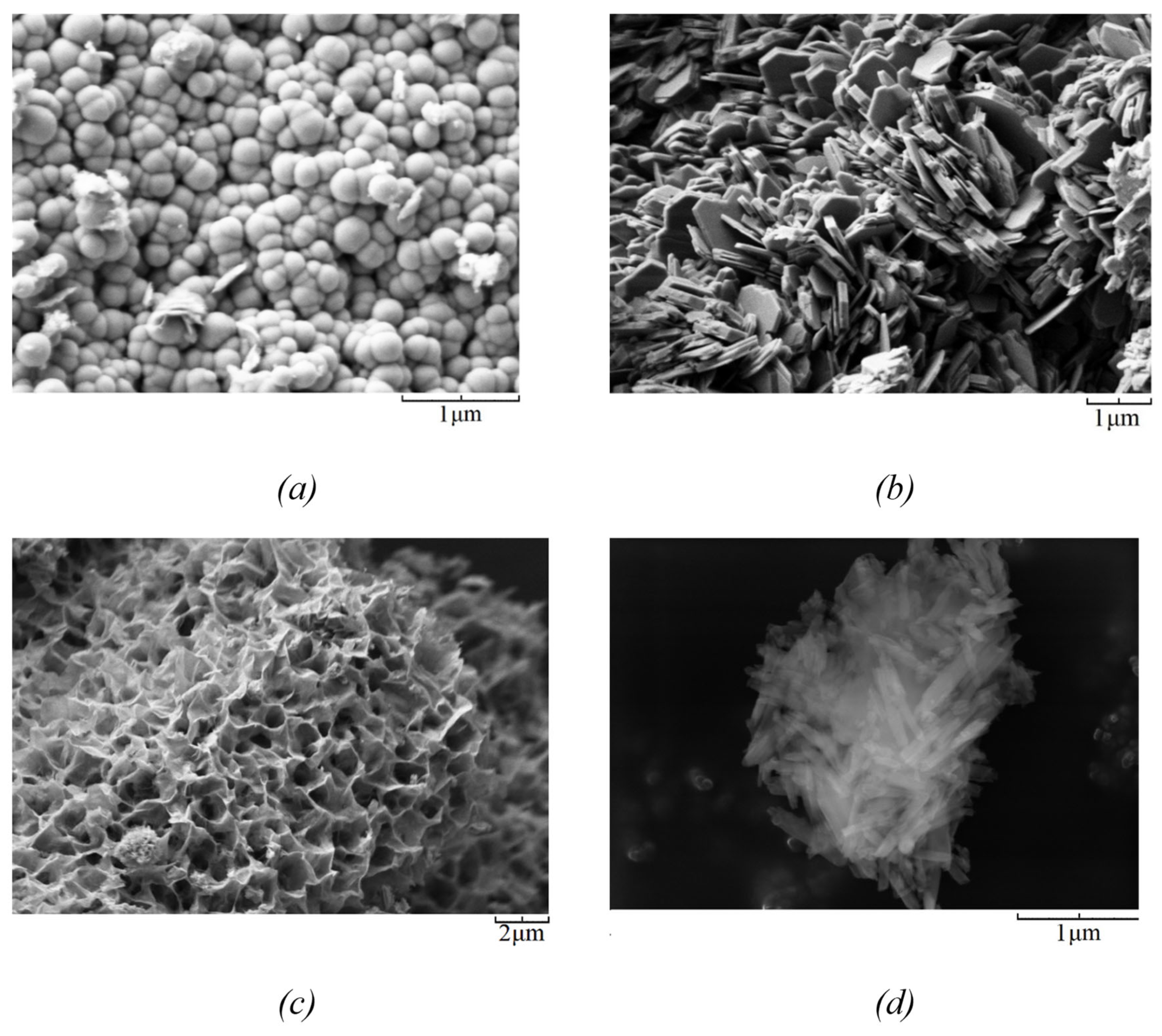 Nanomaterials 12 02559 g002 550