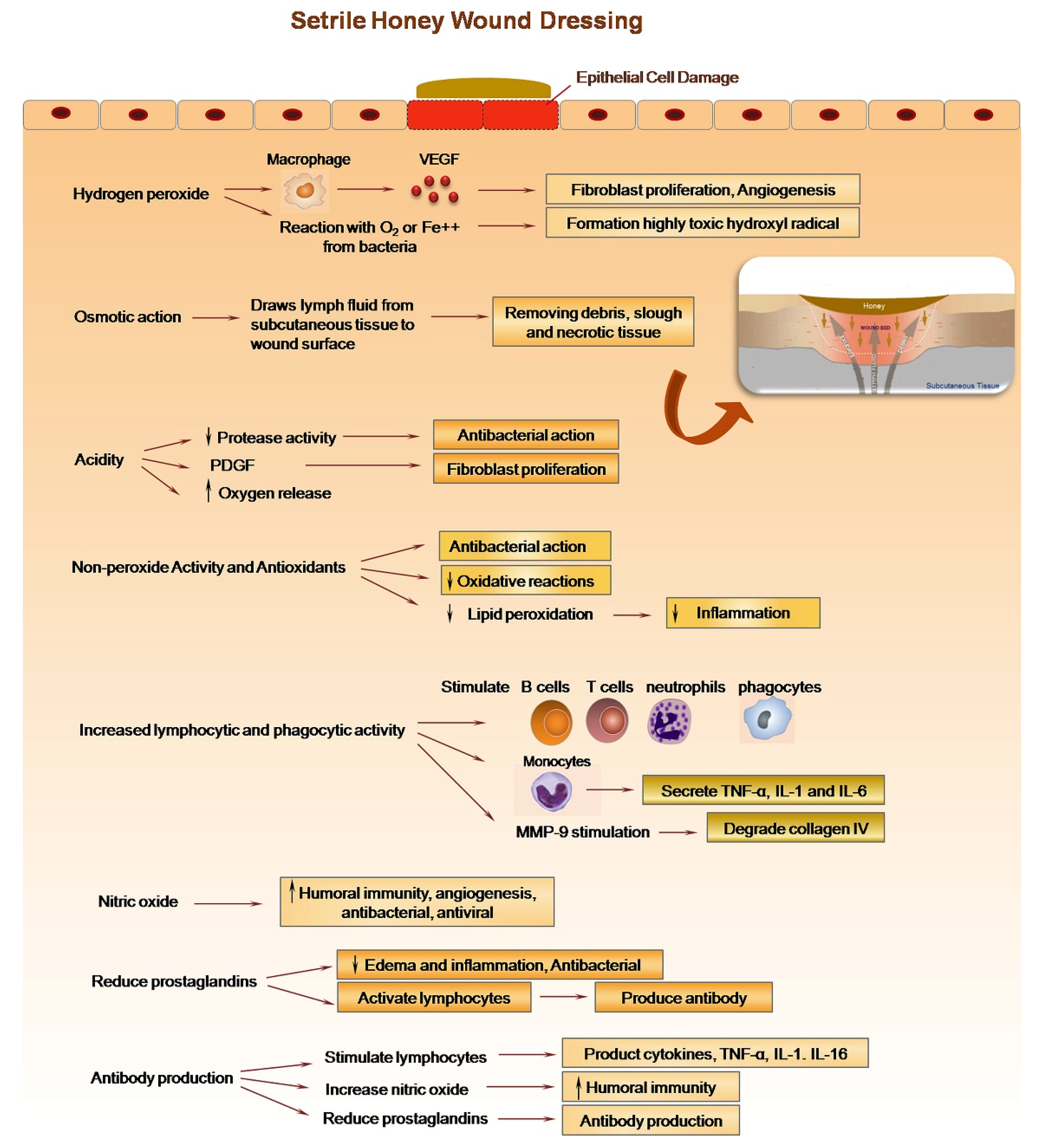 Nanomaterials 12 02560 g002