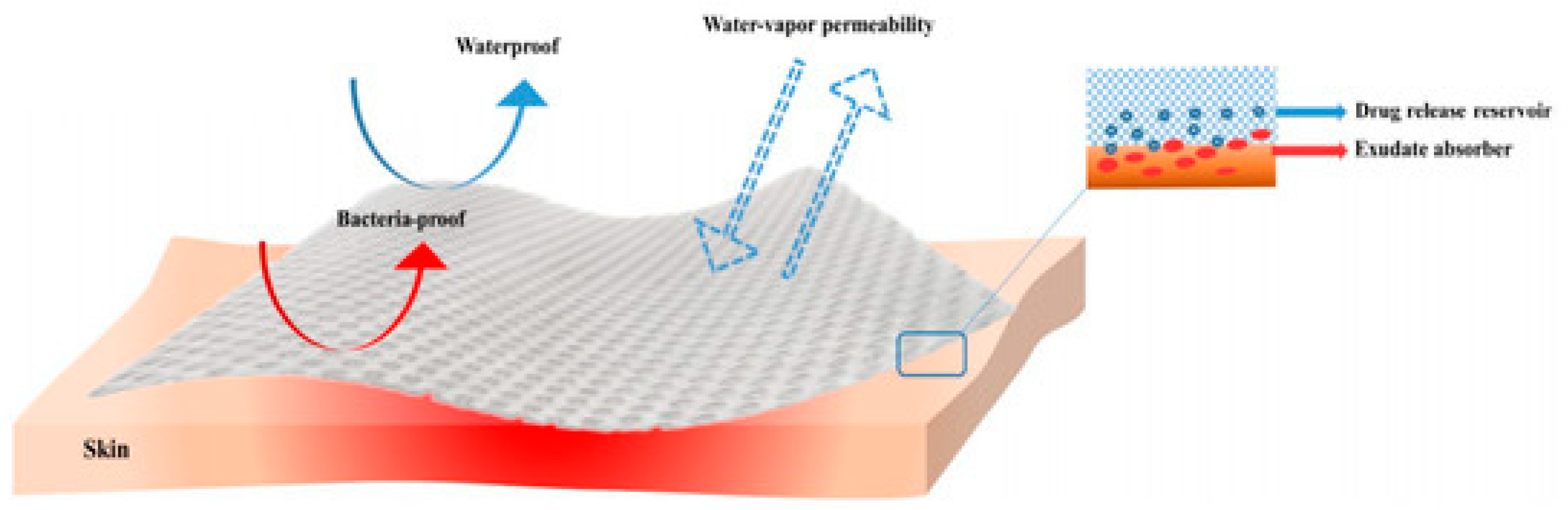 Nanomaterials 12 02560 g004