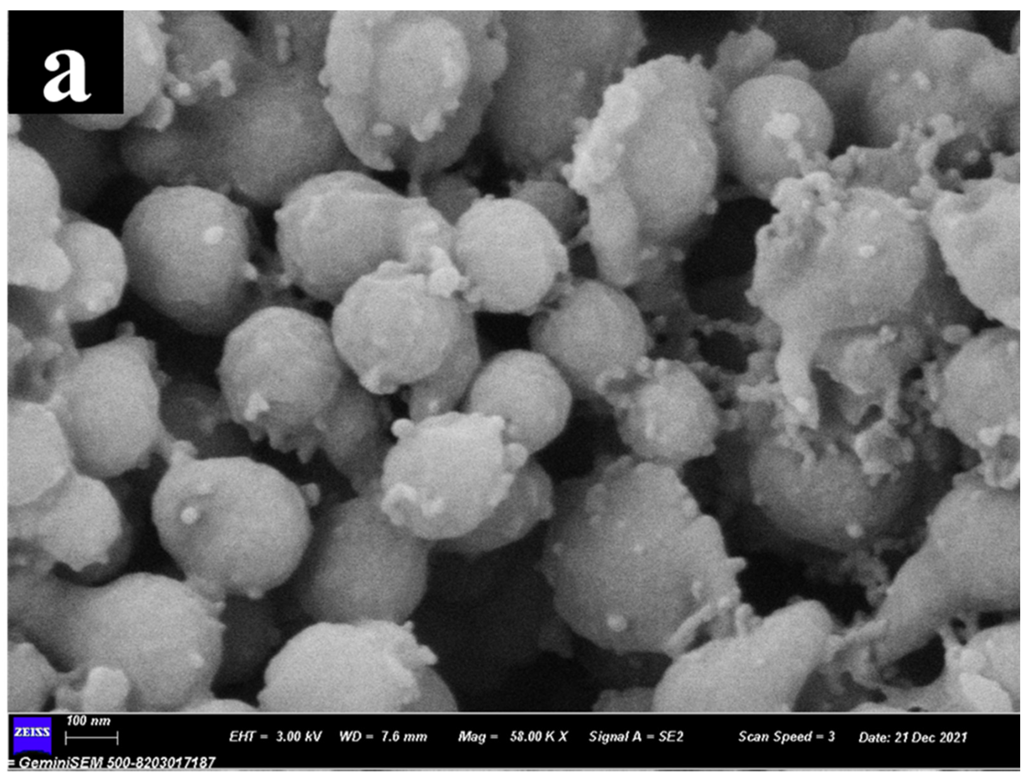 Nanomaterials 12 02561 g001a