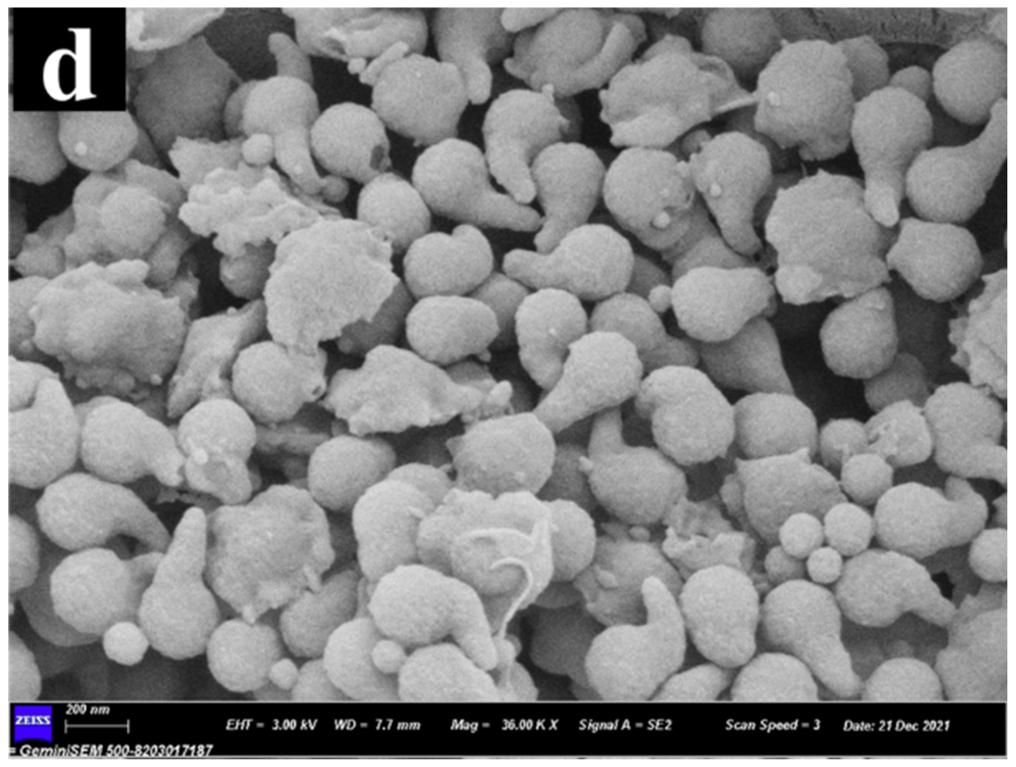 Nanomaterials 12 02561 g001c