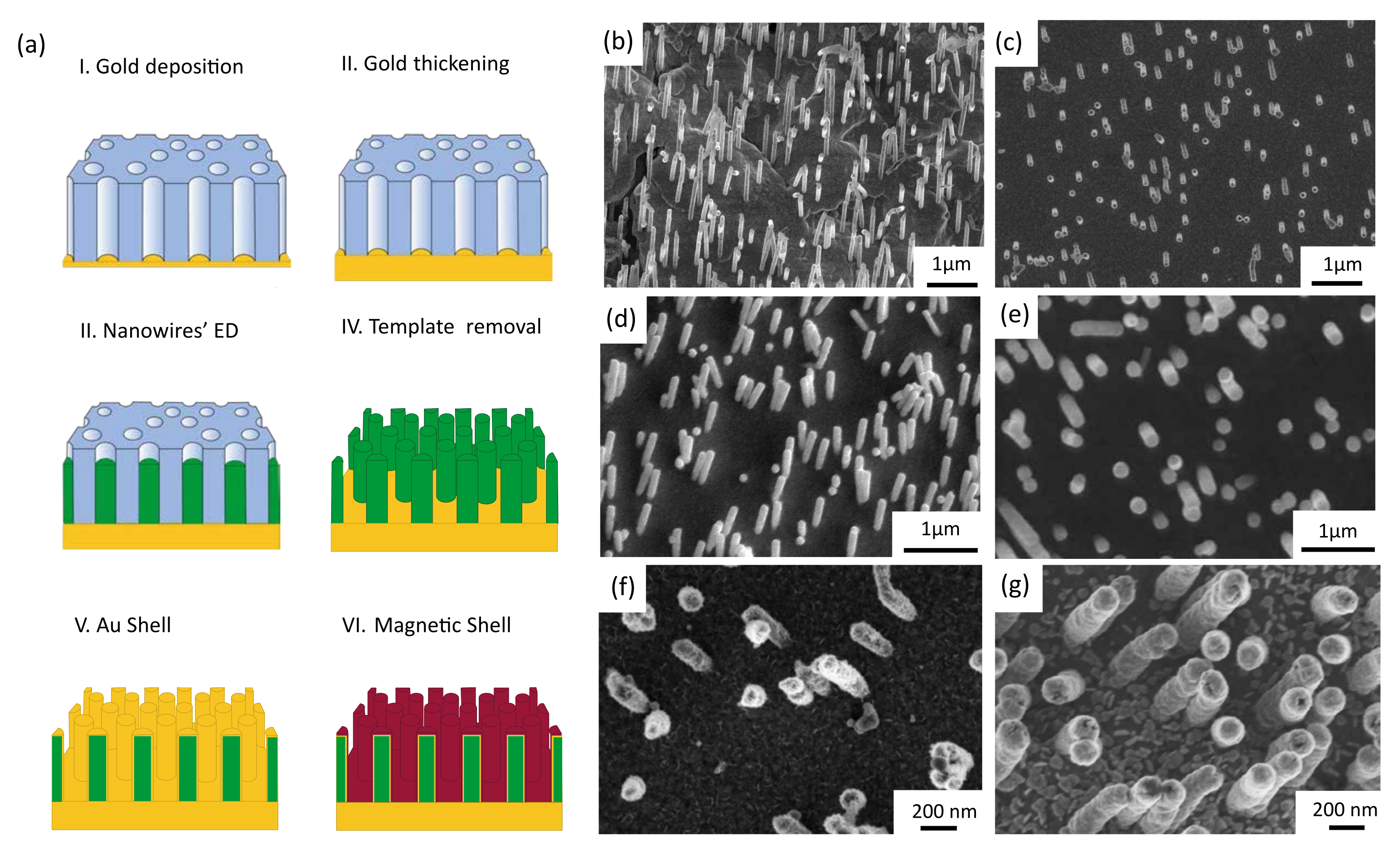 Nanomaterials 12 02565 g001 550
