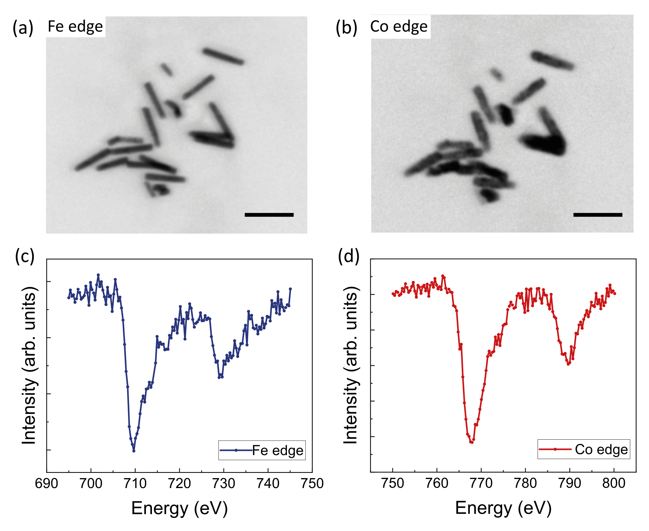 Nanomaterials 12 02565 g003 550