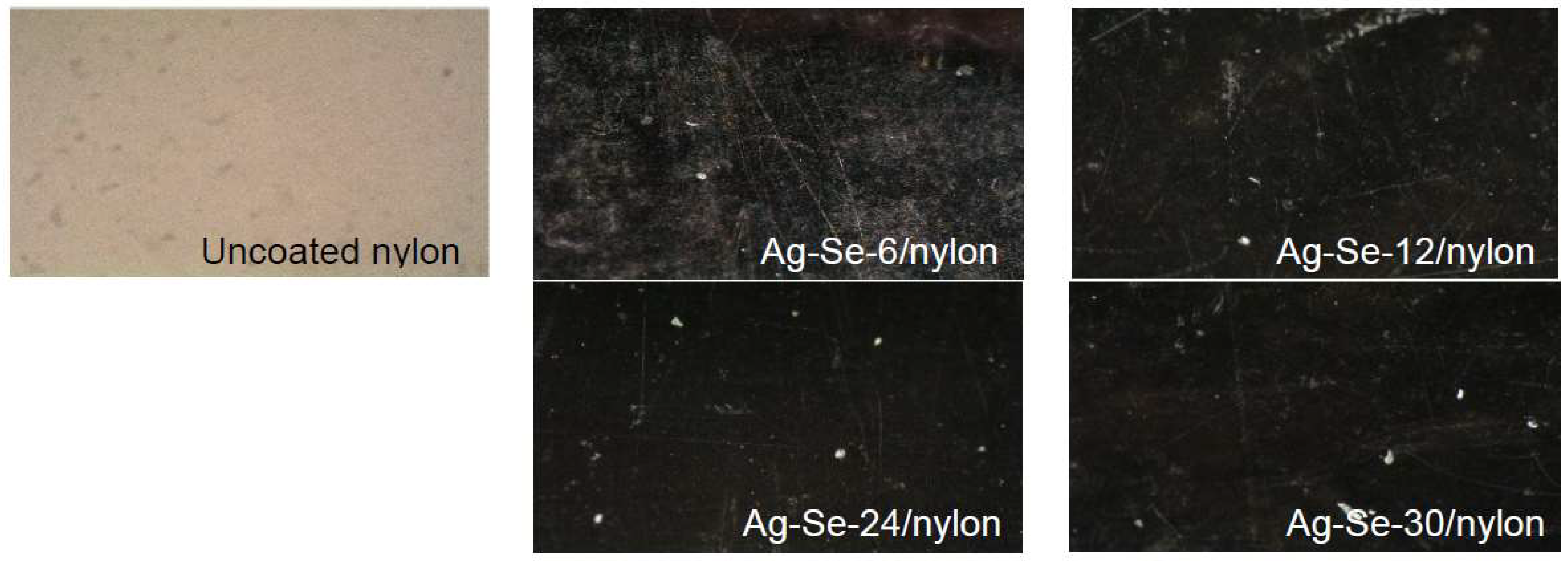 Nanomaterials 12 02584 g001
