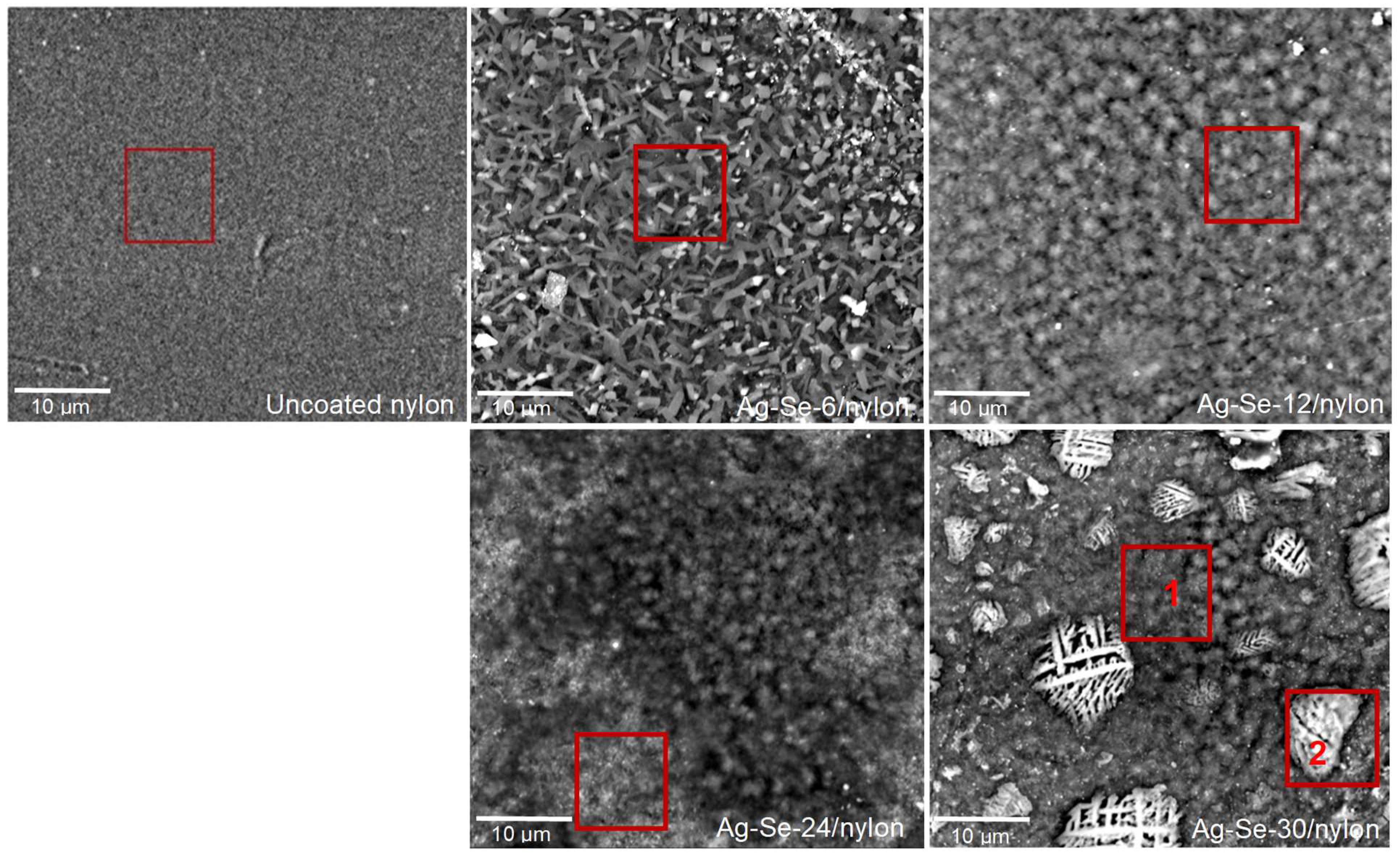 Nanomaterials 12 02584 g002