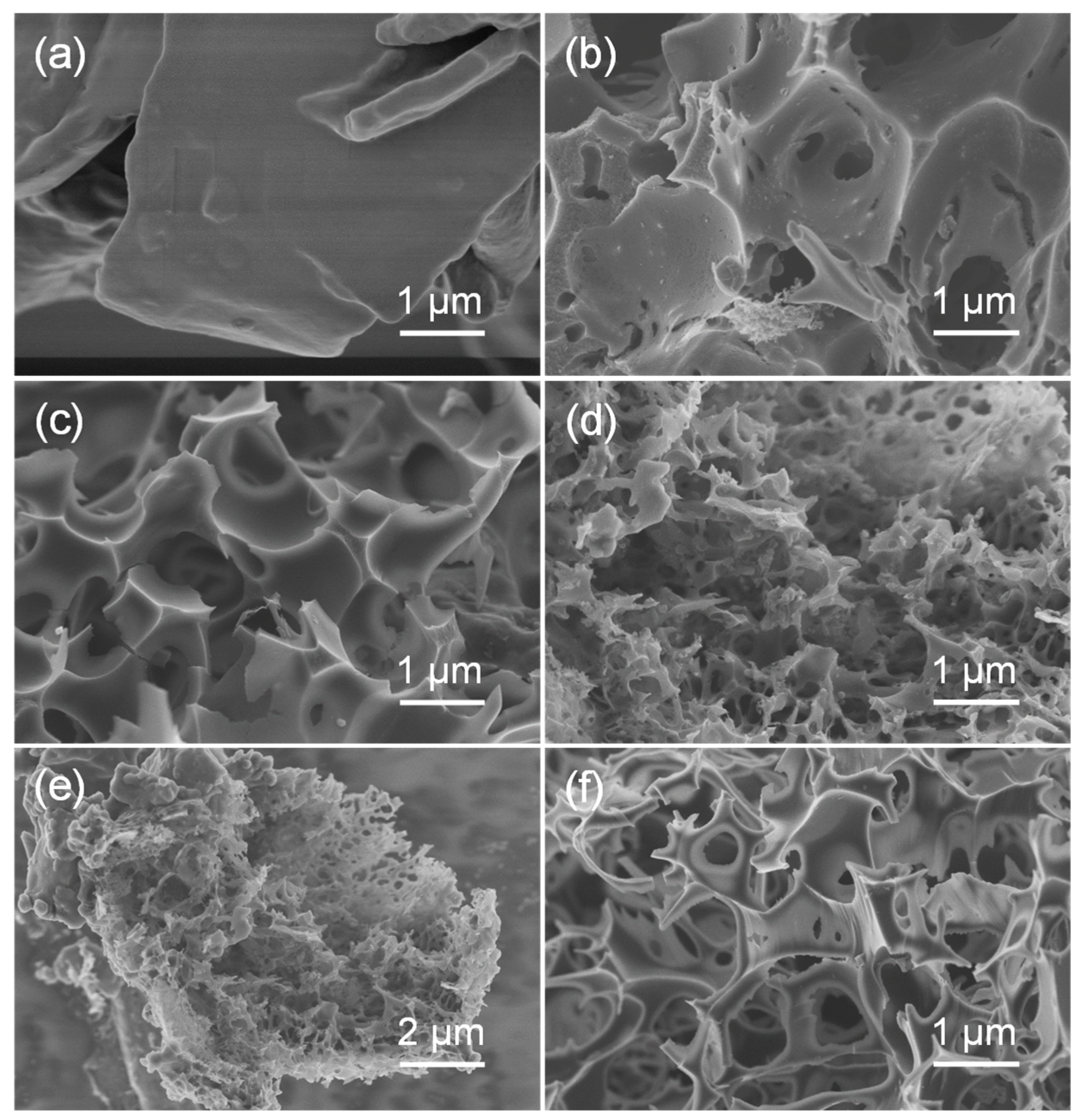 Nanomaterials 12 02586 g001