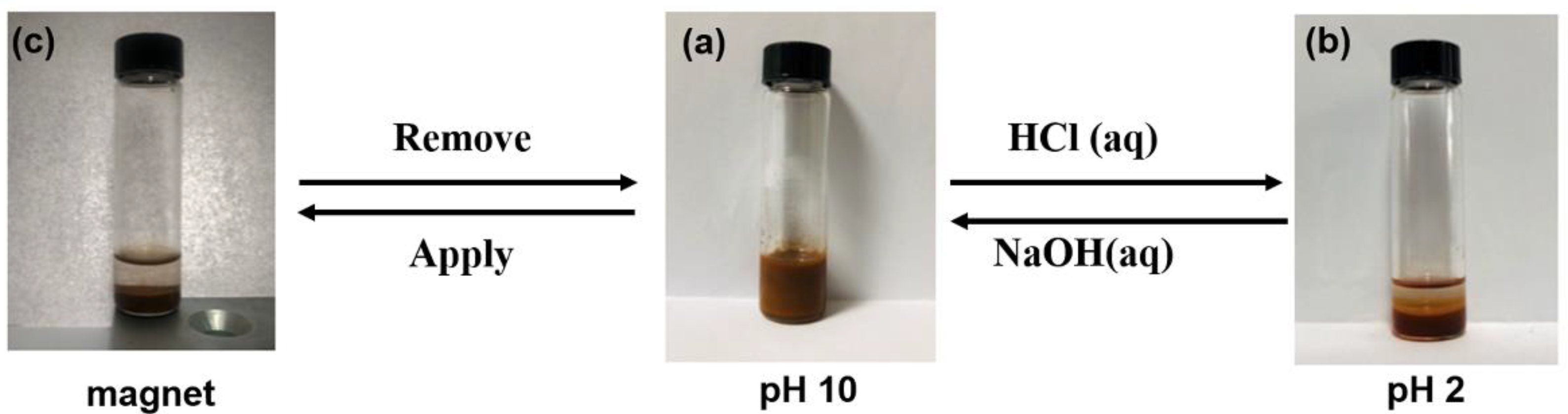 Nanomaterials 12 02587 g009