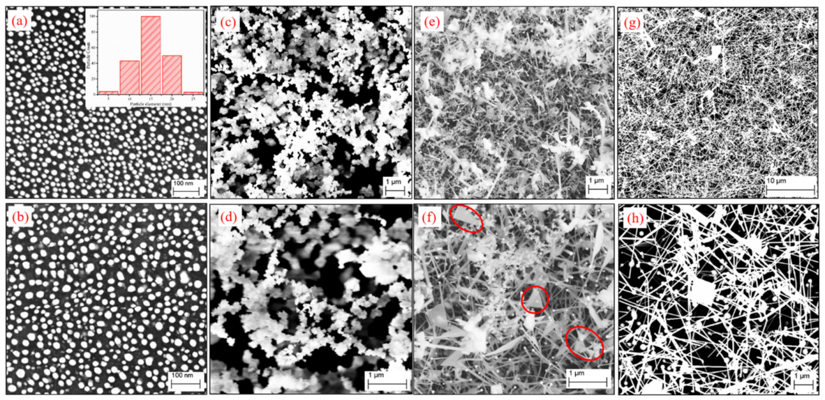 Nanomaterials 12 02589 g001