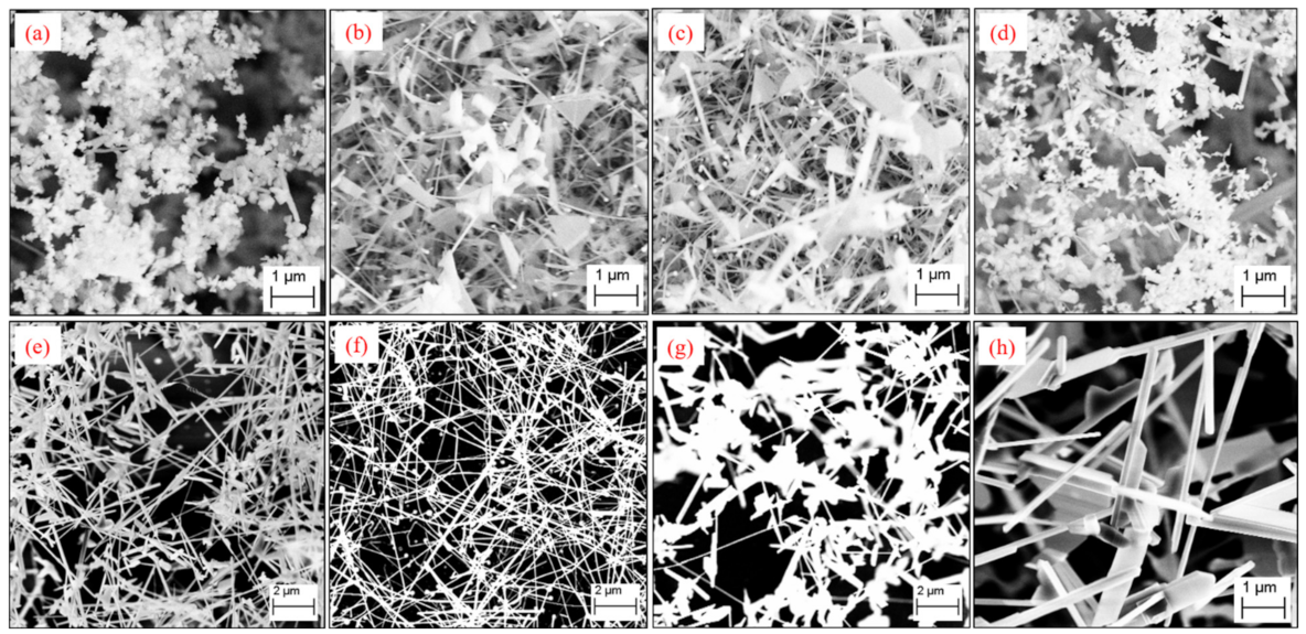 Nanomaterials 12 02589 g005