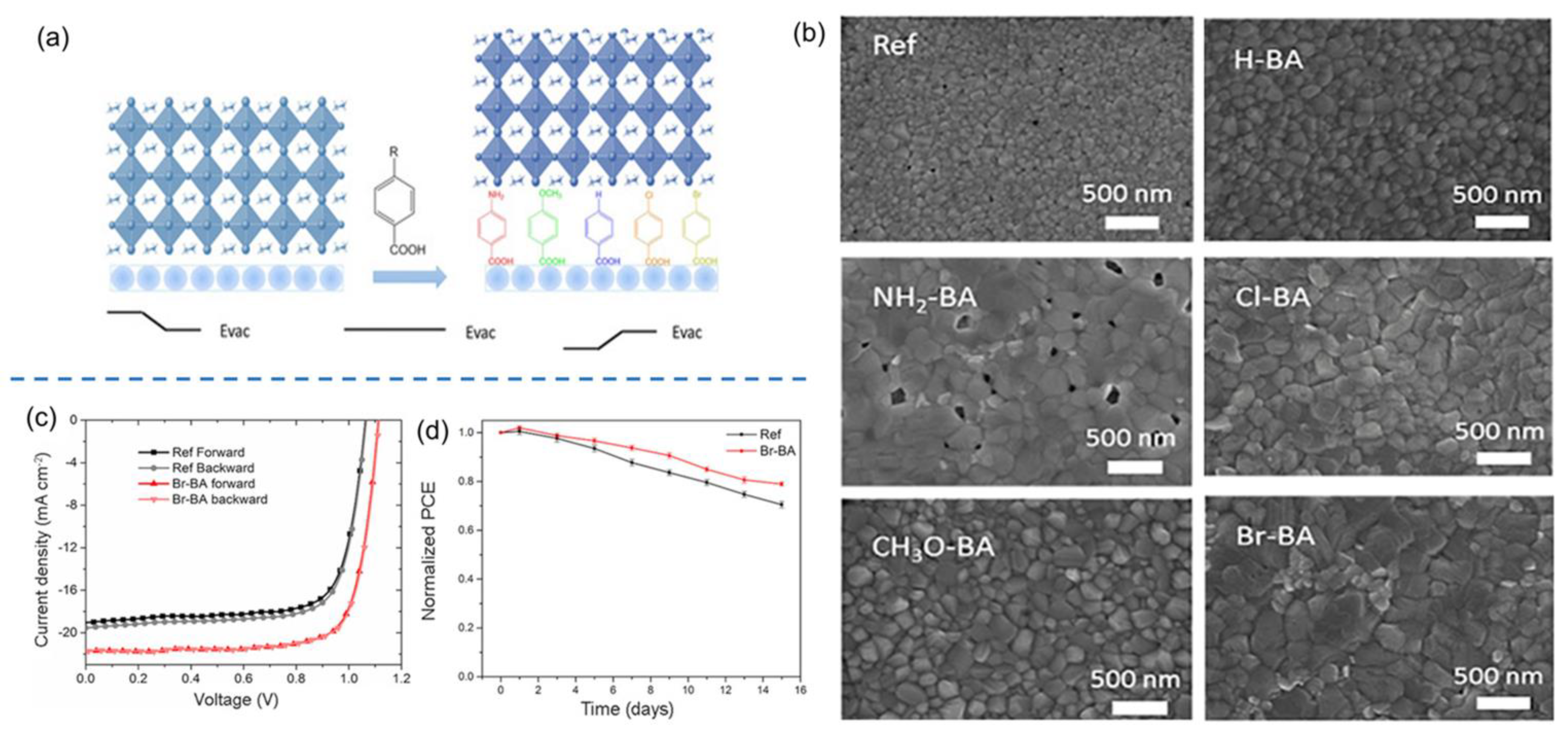 Nanomaterials 12 02592 g004