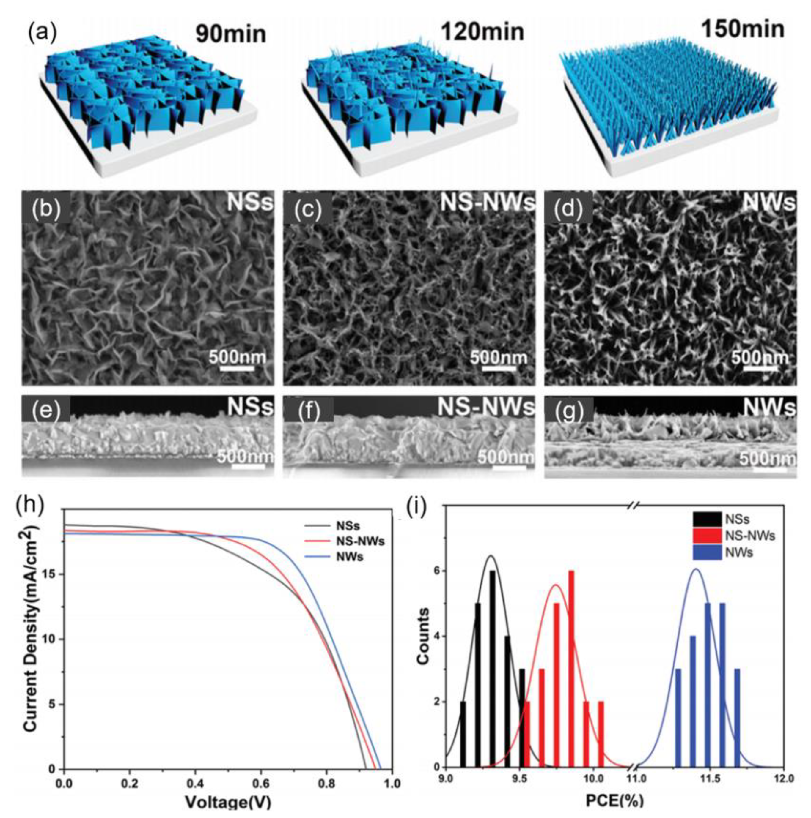 Nanomaterials 12 02592 g010