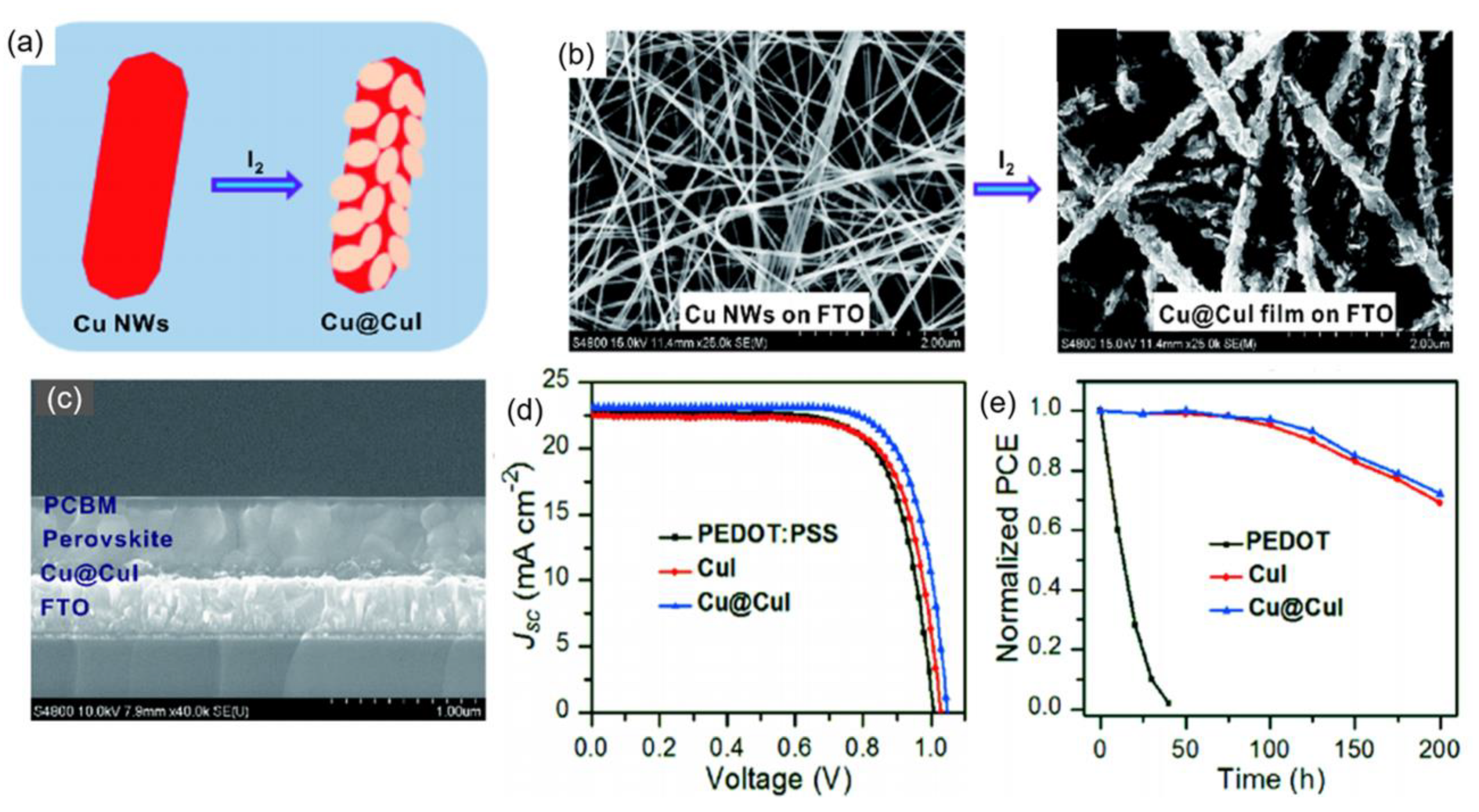 Nanomaterials 12 02592 g011