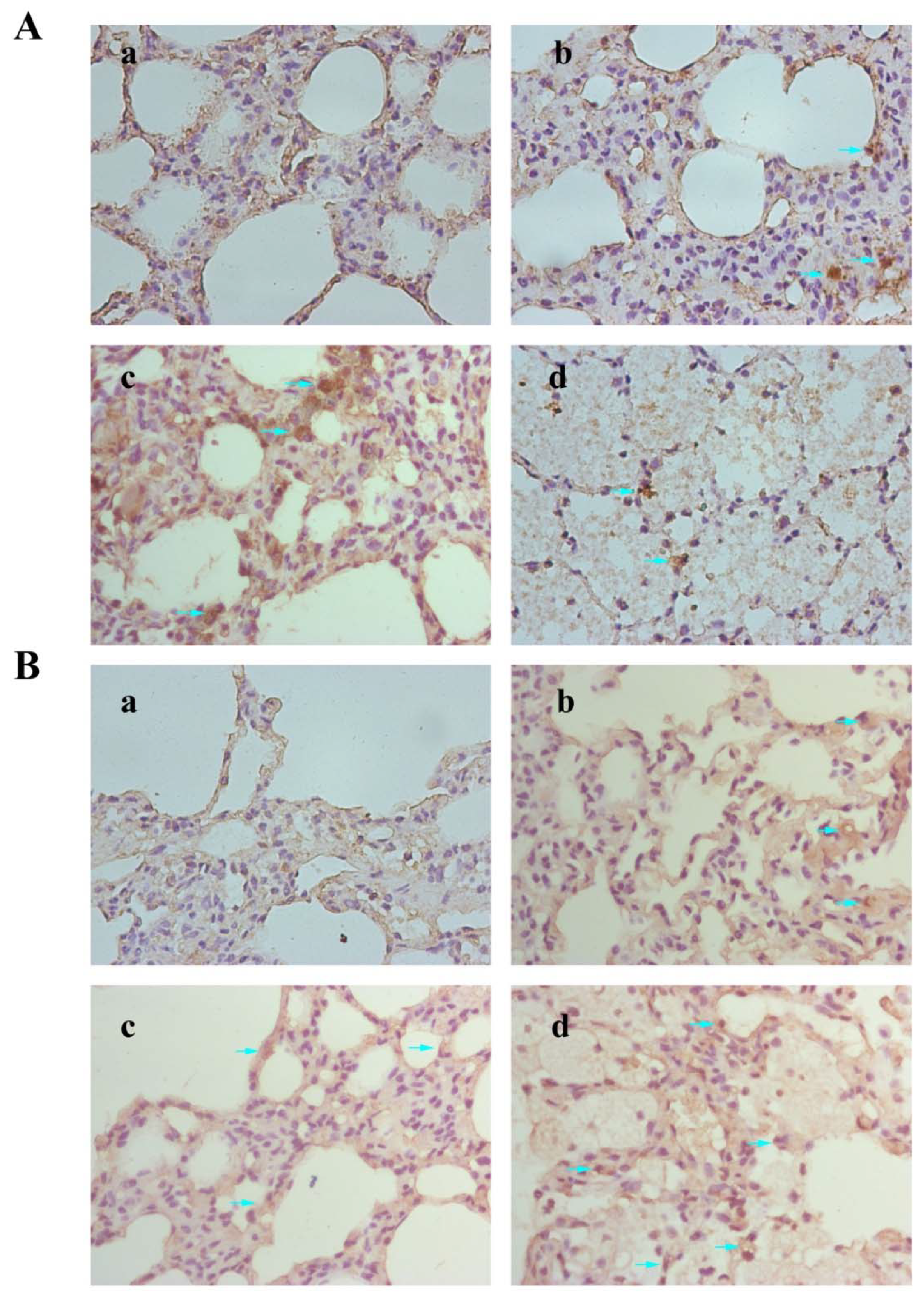 Nanomaterials 12 02594 g008 550