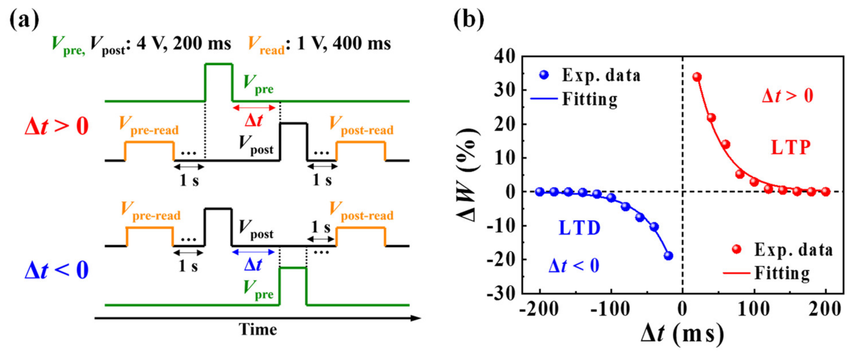Nanomaterials 12 02596 g006 550