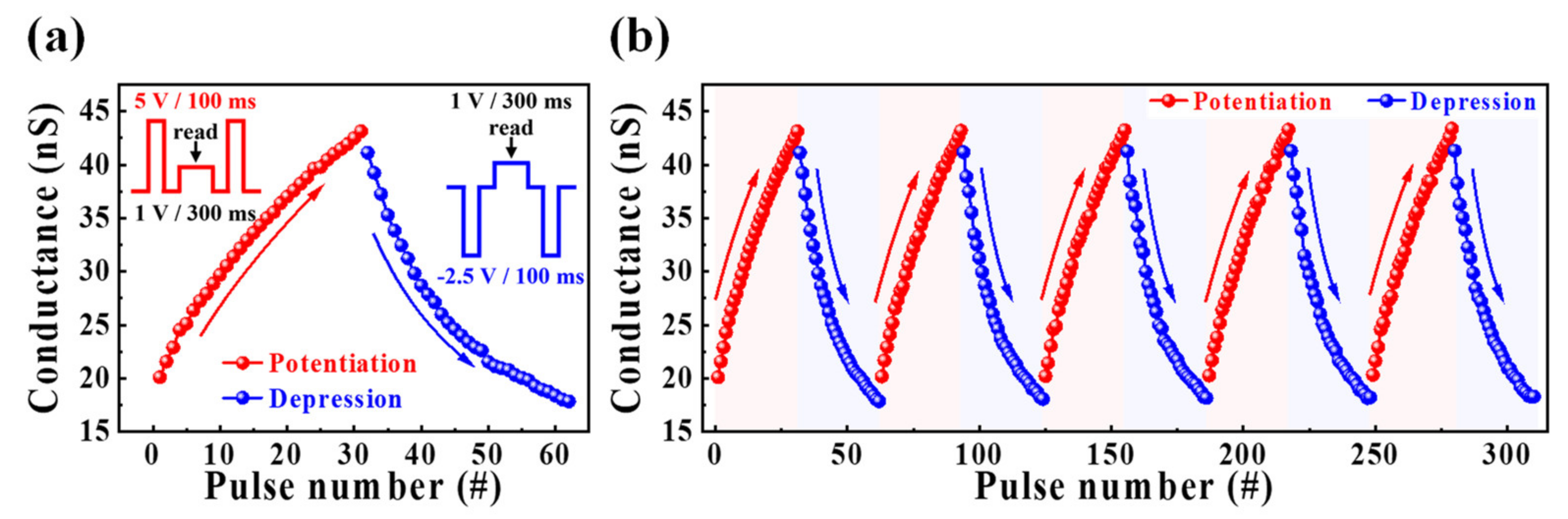 Nanomaterials 12 02596 g007 550