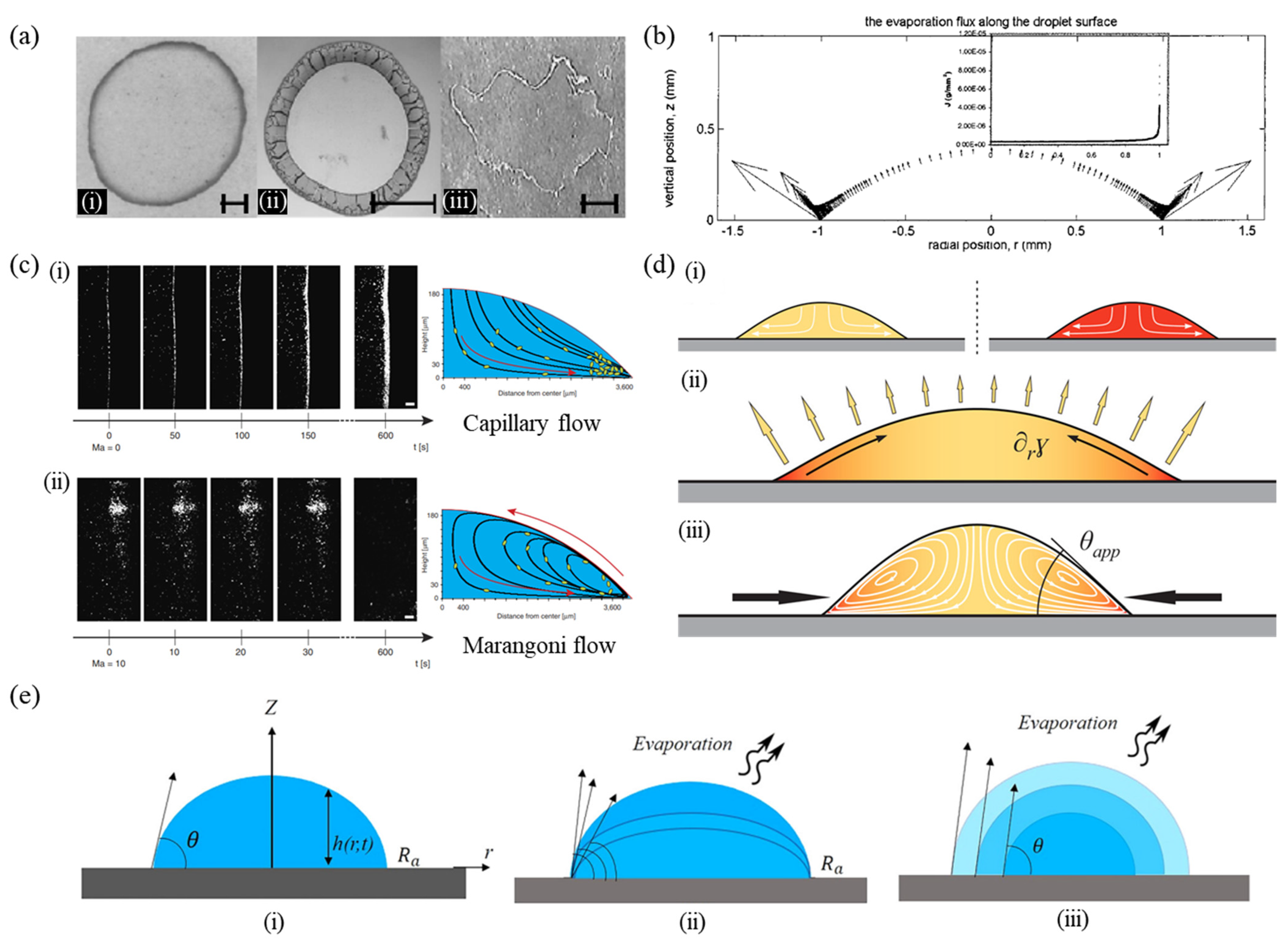 Nanomaterials 12 02600 g001