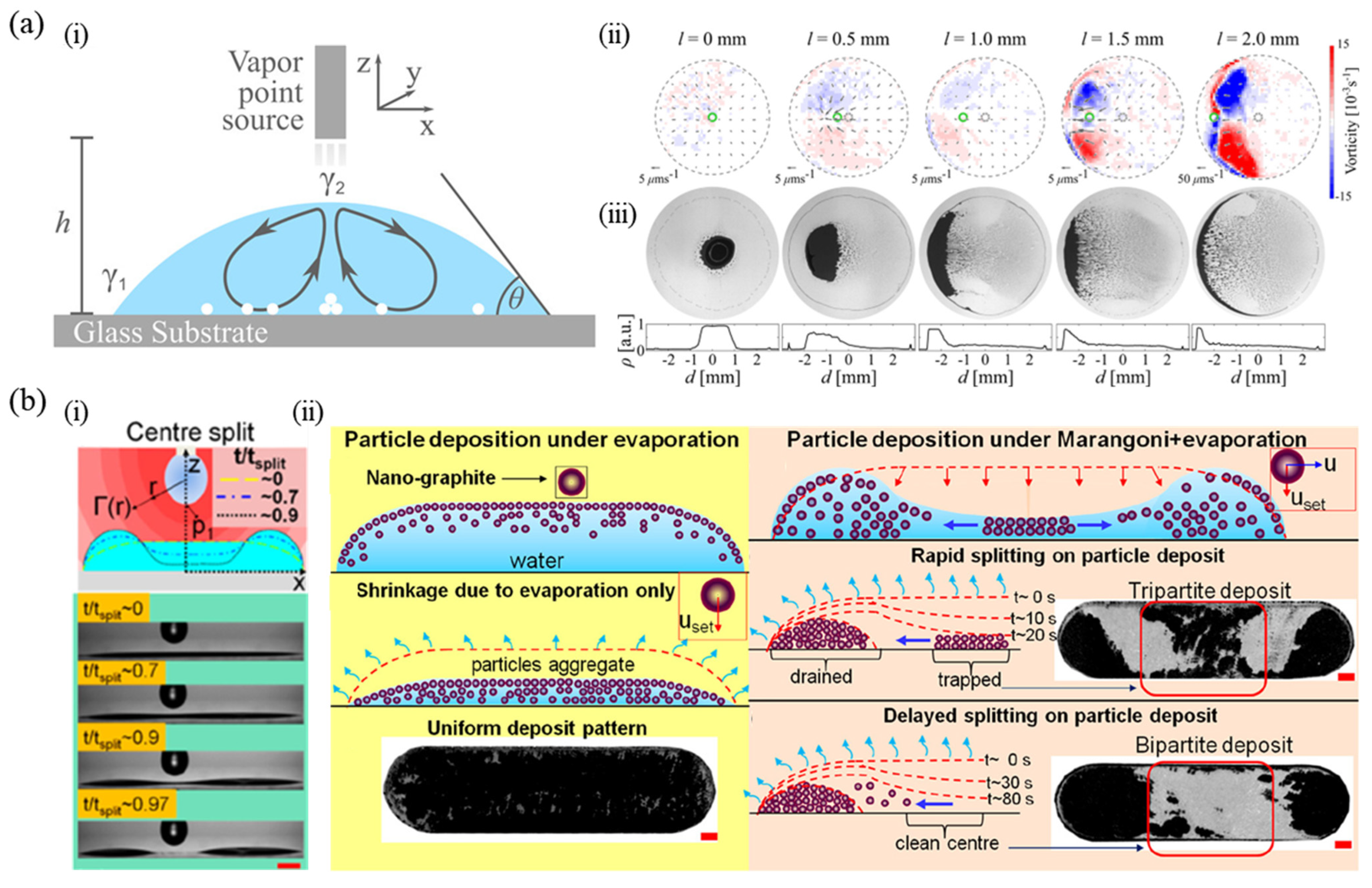 Nanomaterials 12 02600 g004