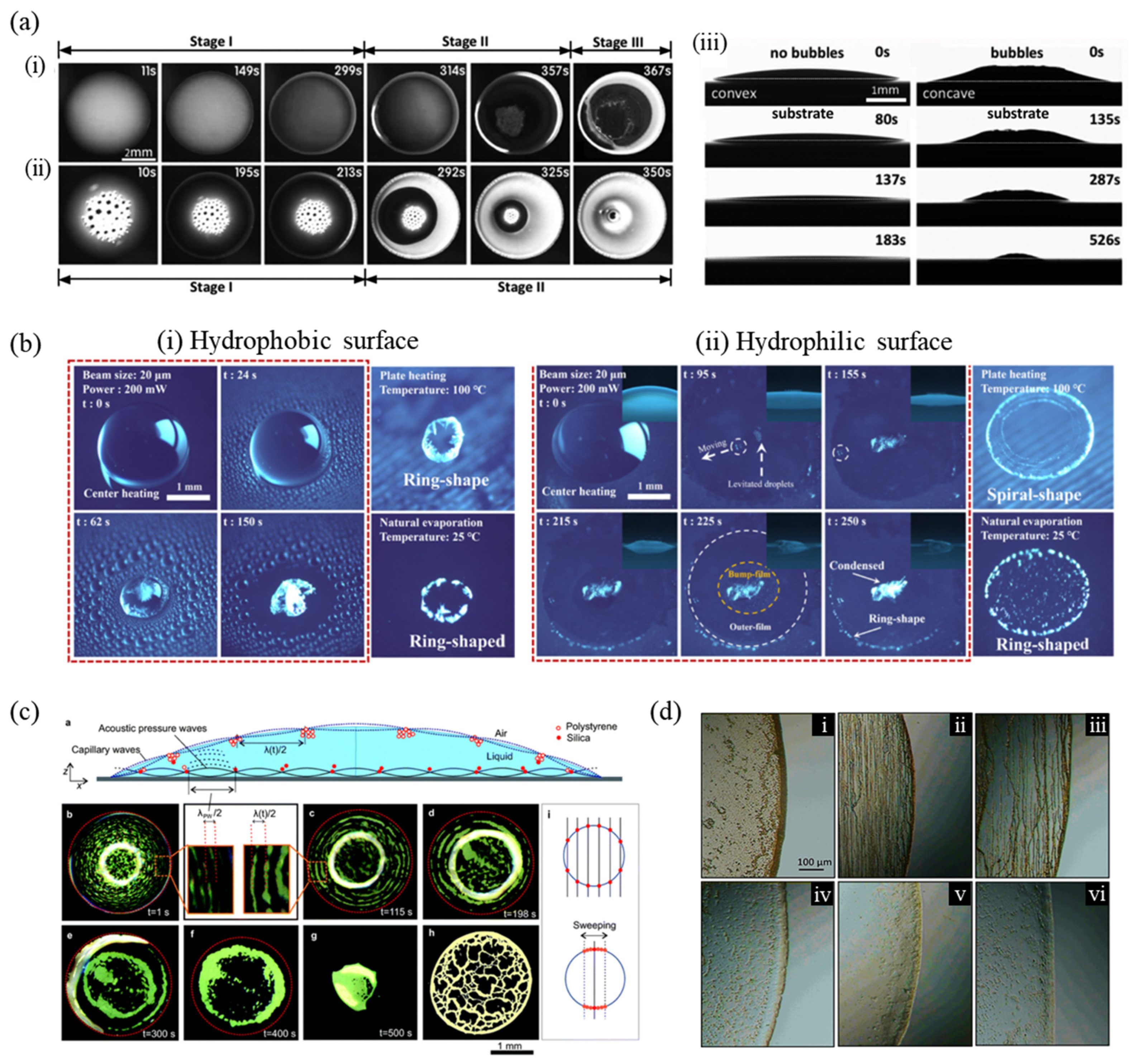 Nanomaterials 12 02600 g006
