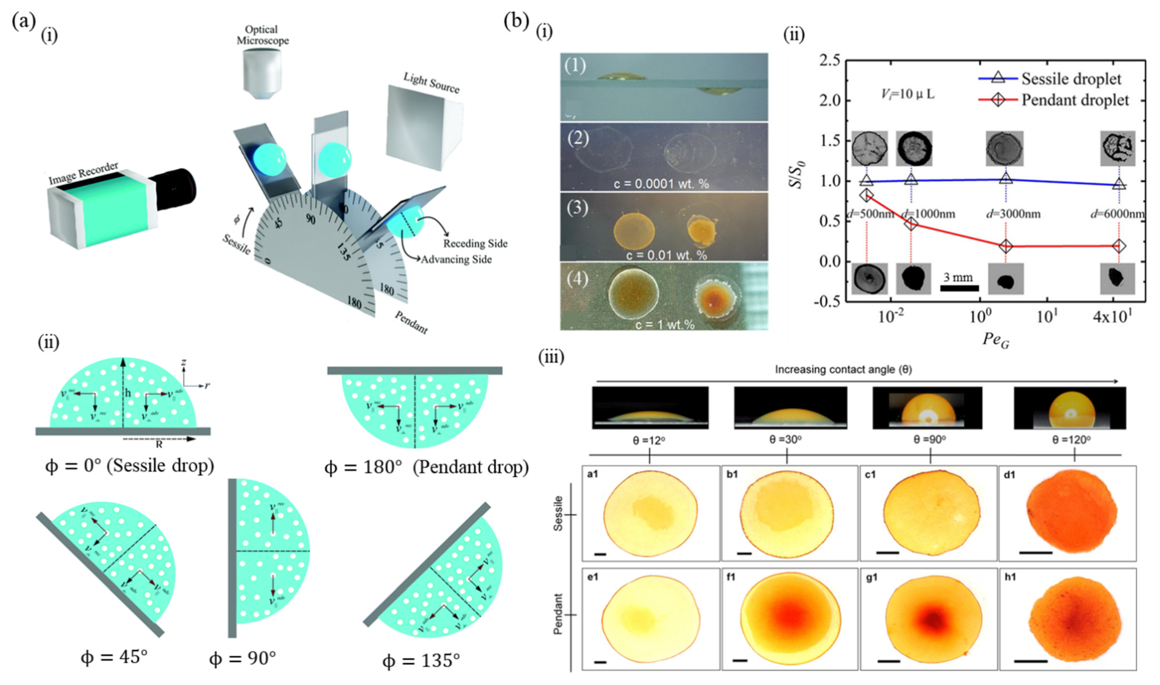 Nanomaterials 12 02600 g007