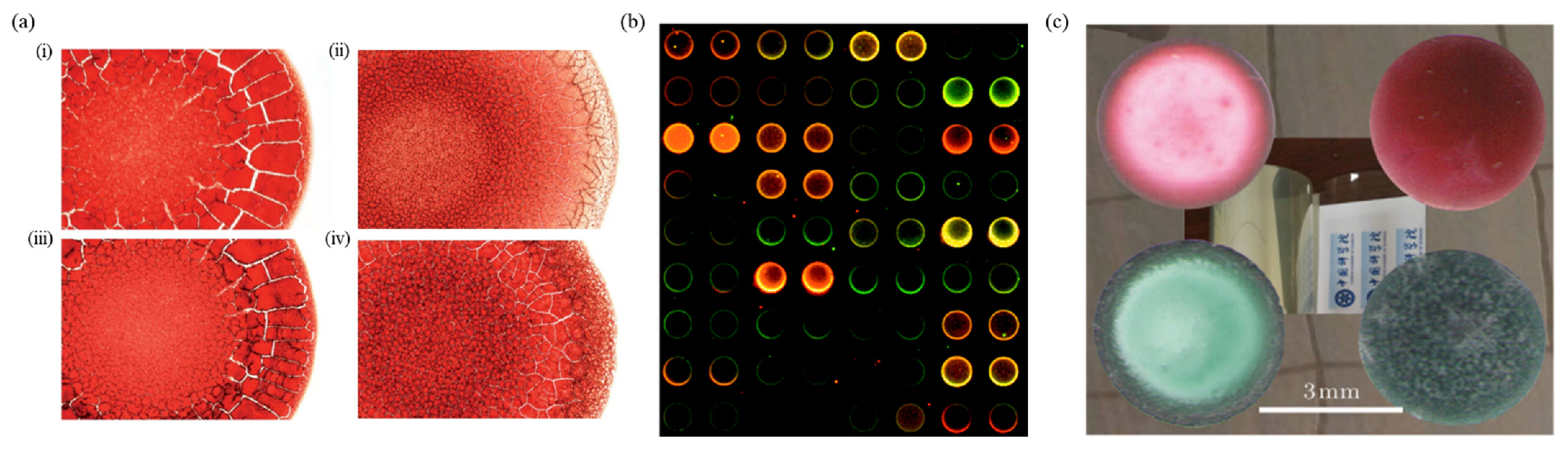 Nanomaterials 12 02600 g009
