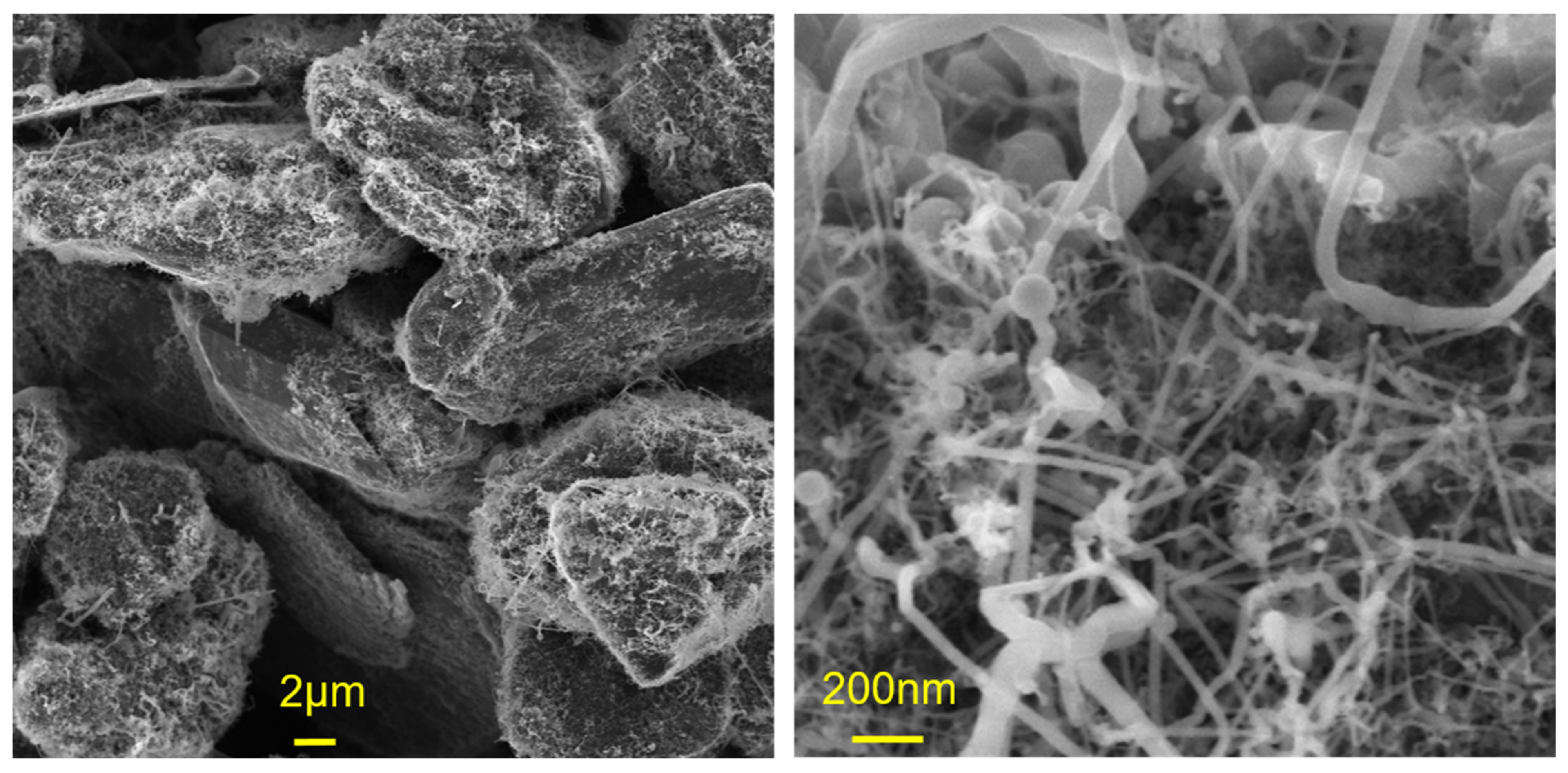 Nanomaterials 12 02601 g001