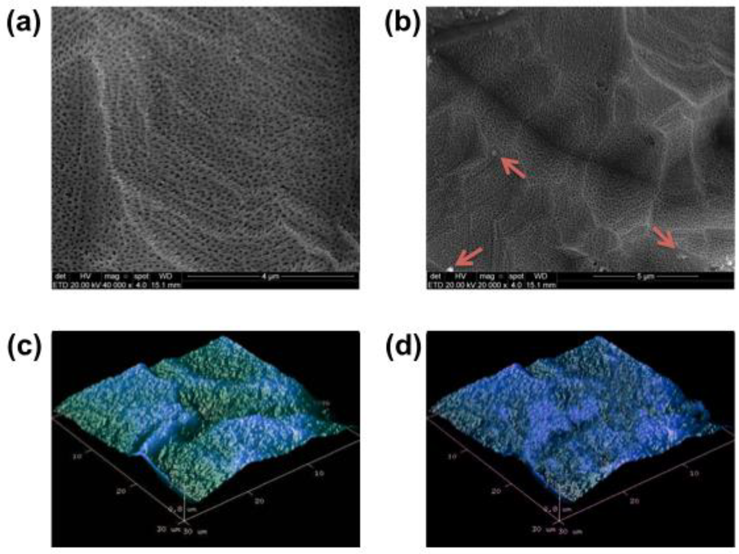 Nanomaterials 12 02603 g003