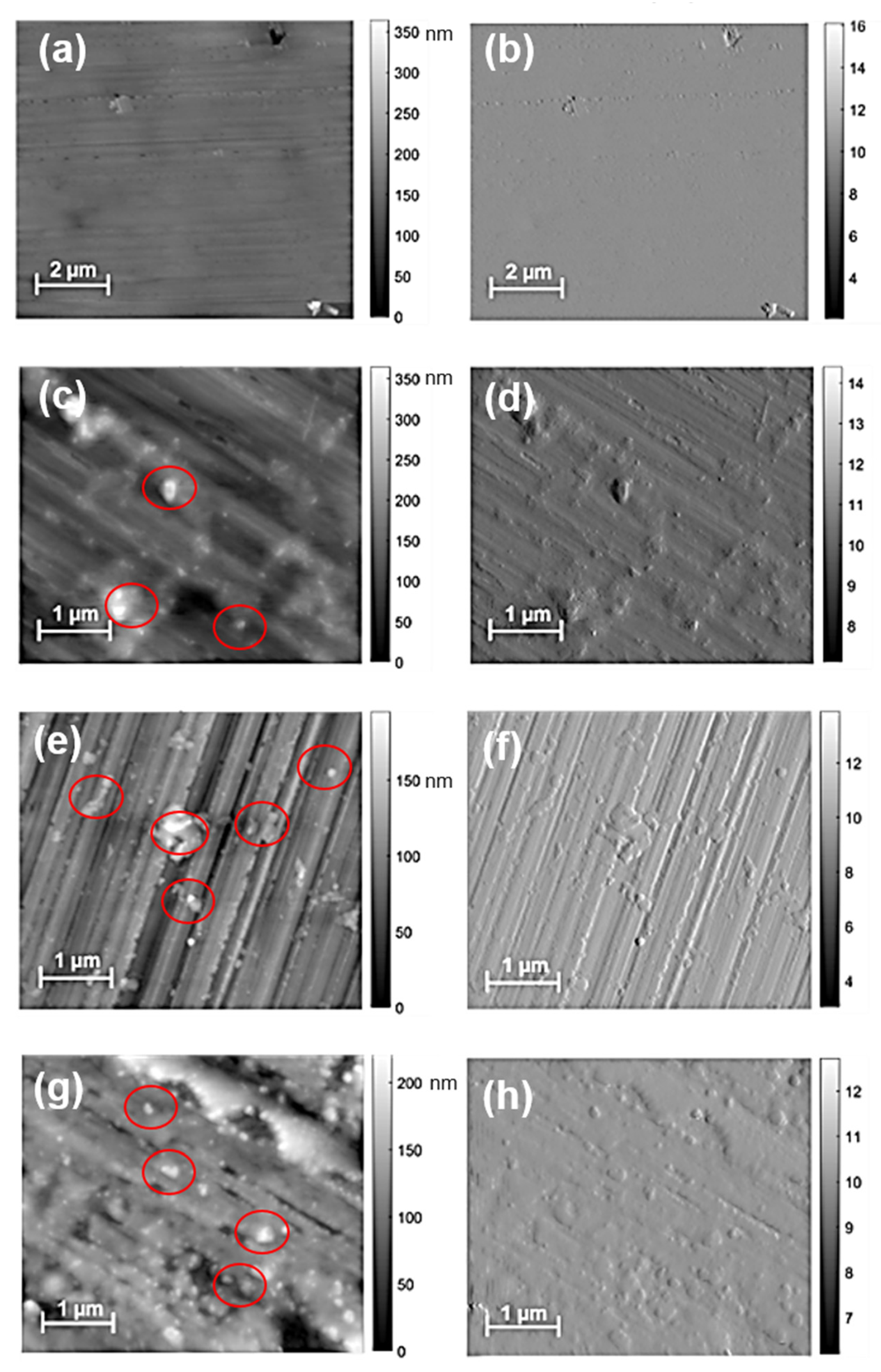 Nanomaterials 12 02604 g003 Nanomaterials 12 02604 g003