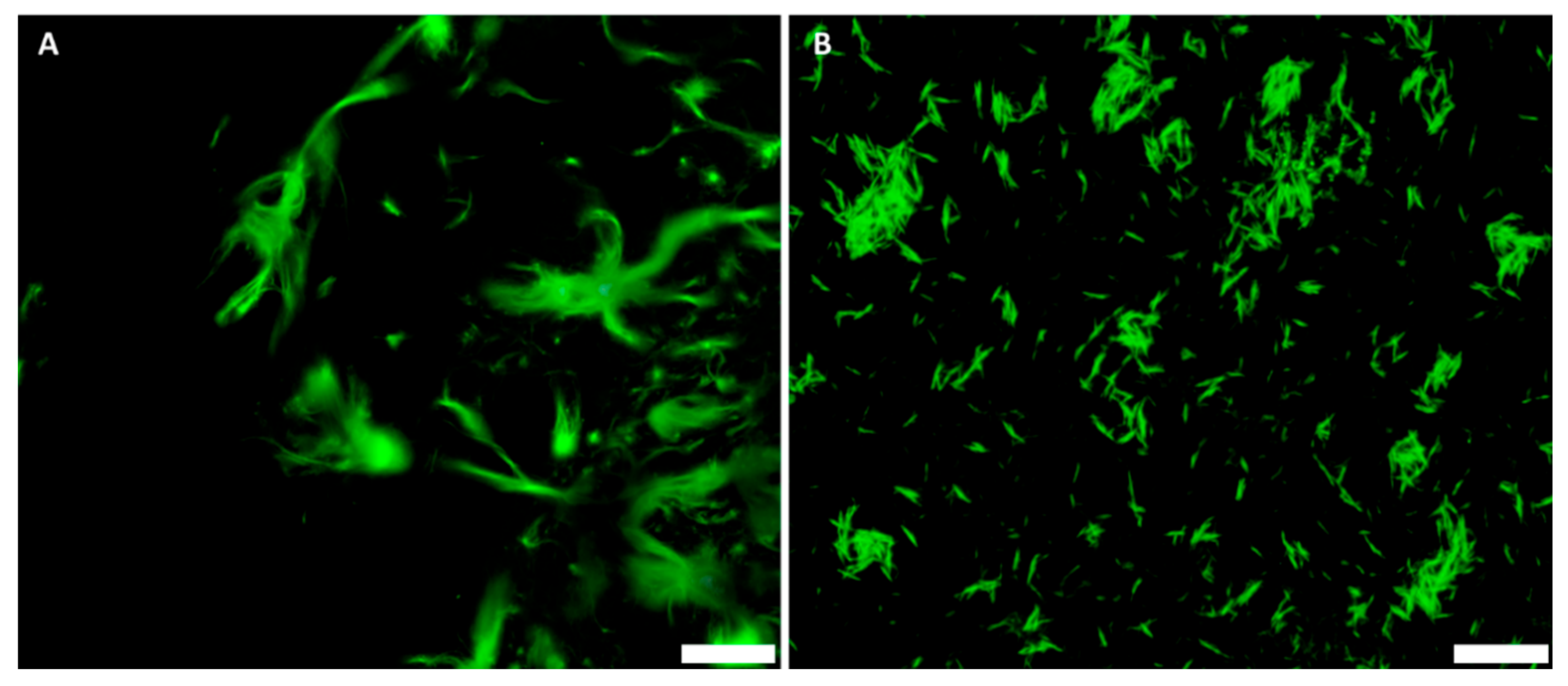 Nanomaterials 12 02605 g004