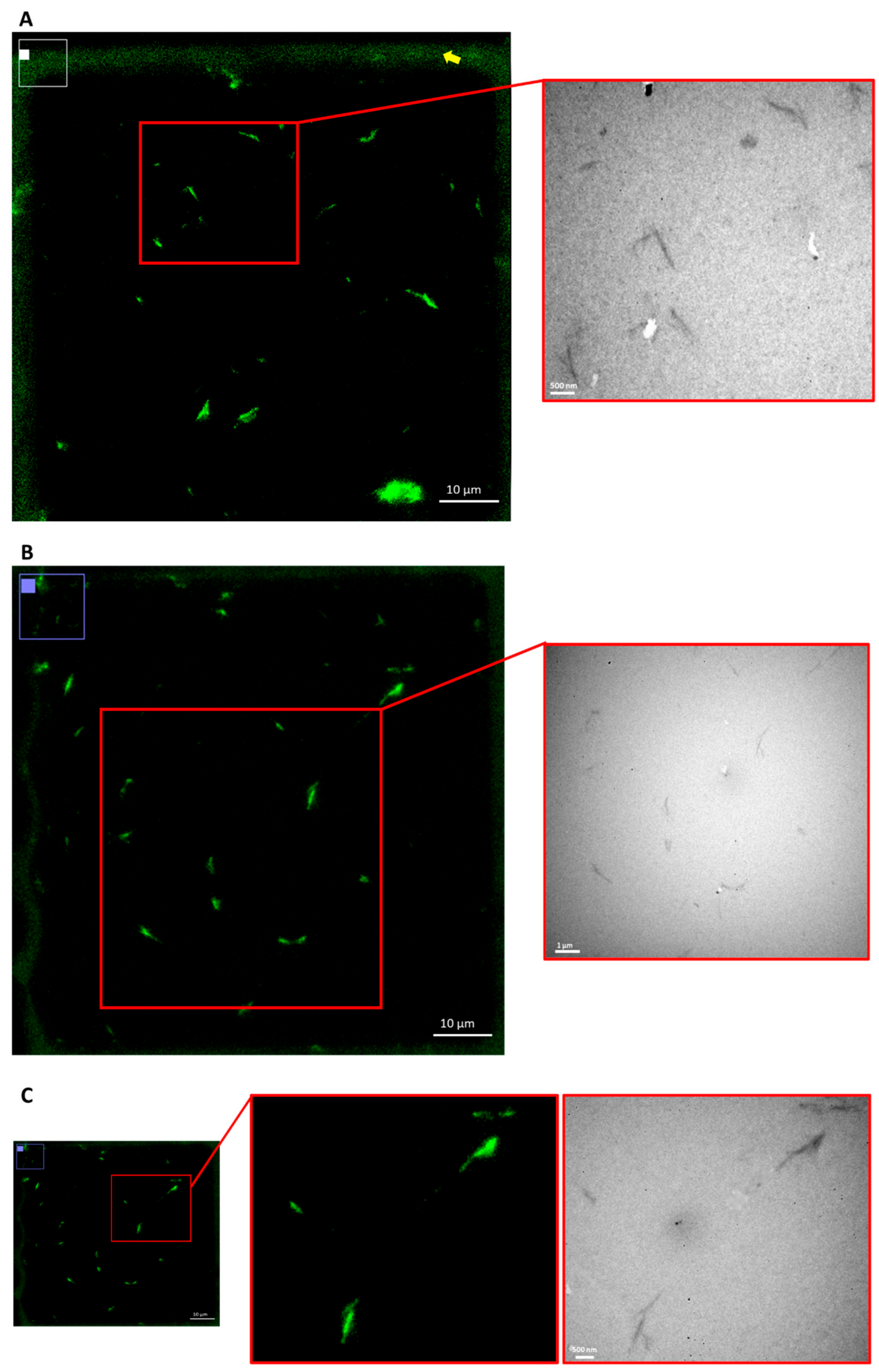Nanomaterials 12 02605 g006
