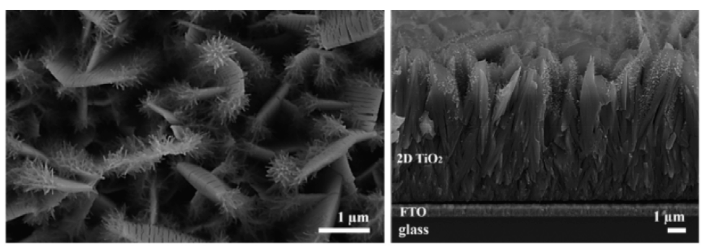 Nanomaterials 12 02608 g010 Nanomaterials 12 02608 g010