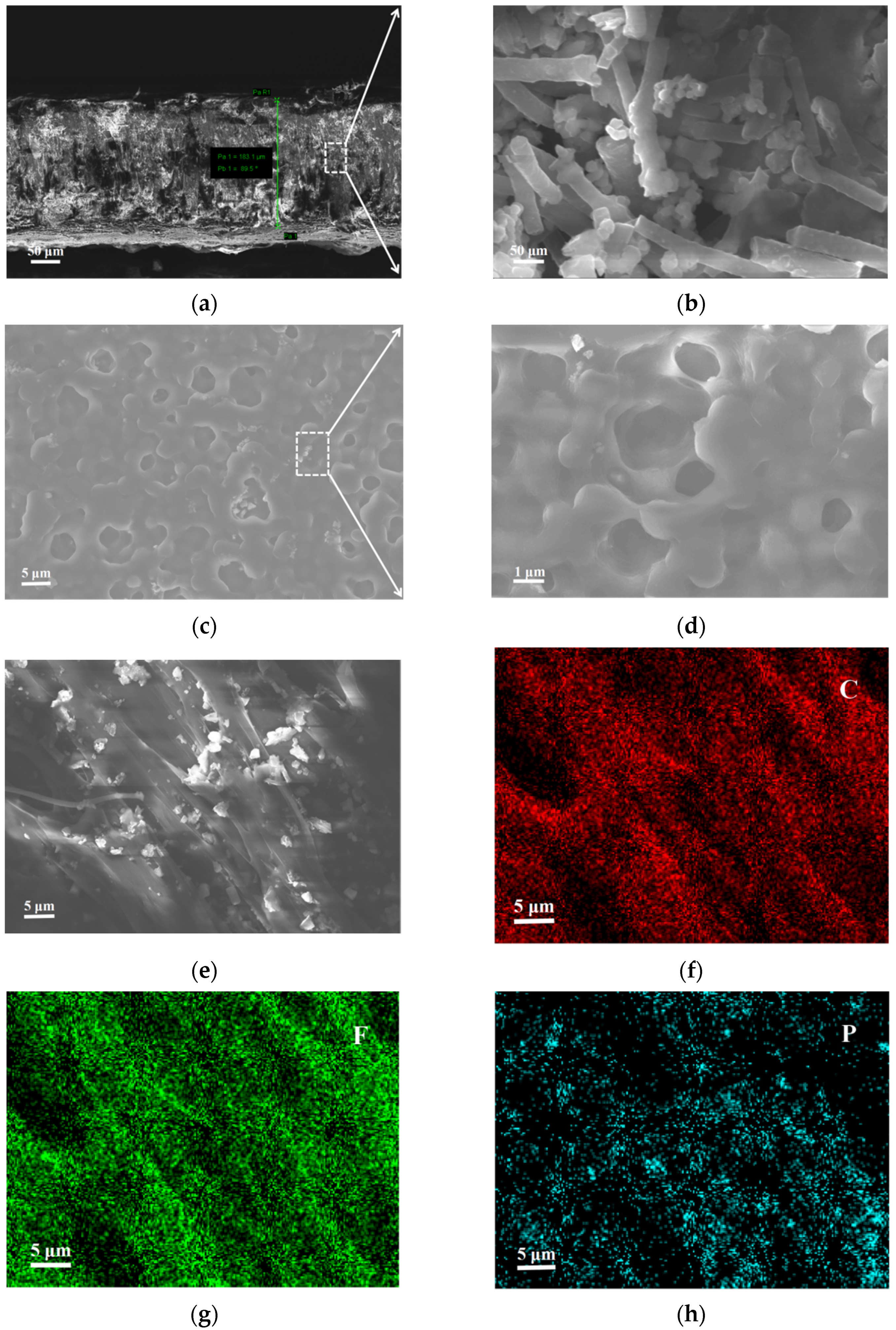 Nanomaterials 12 02614 g006