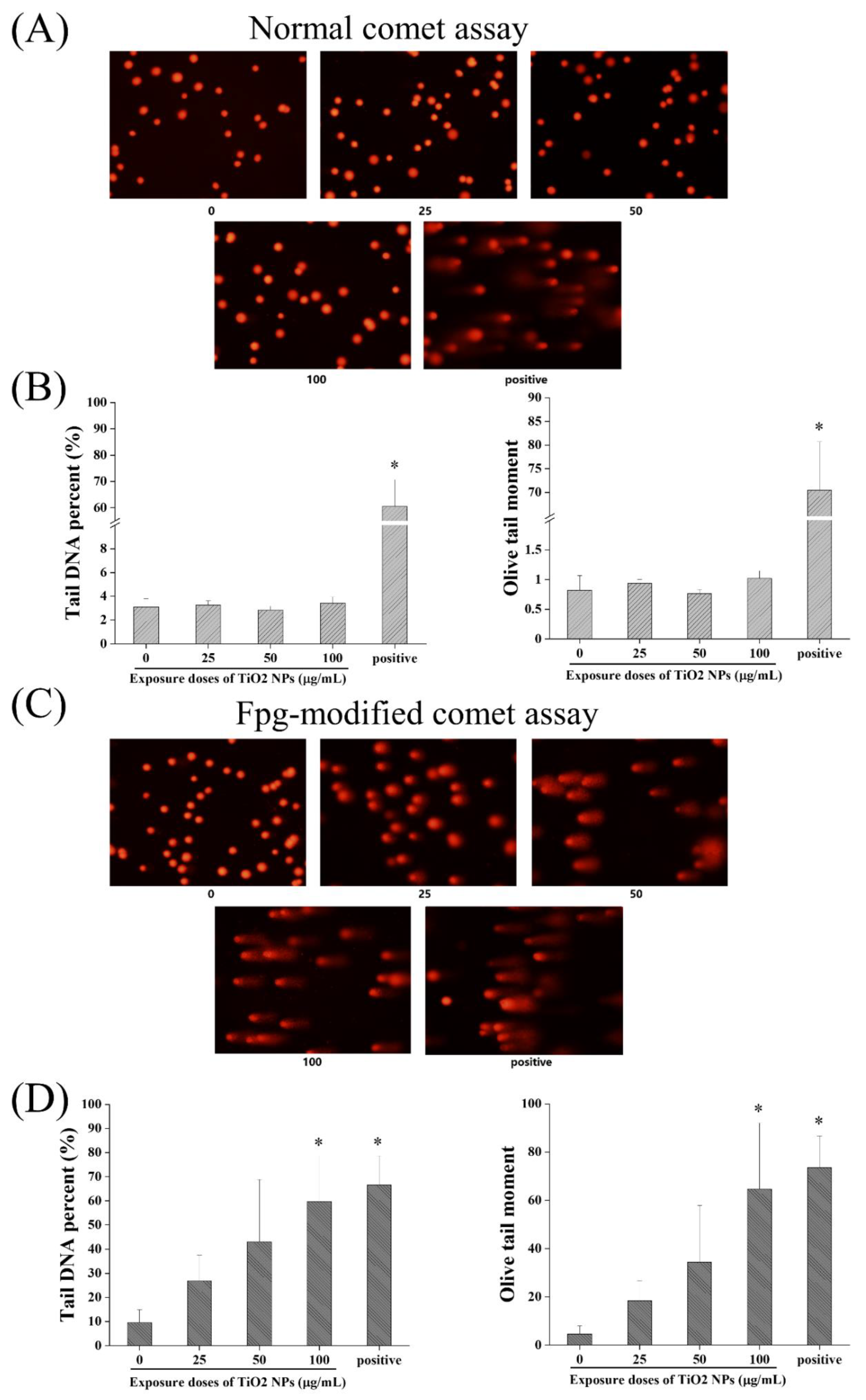 Nanomaterials 12 02616 g004 550