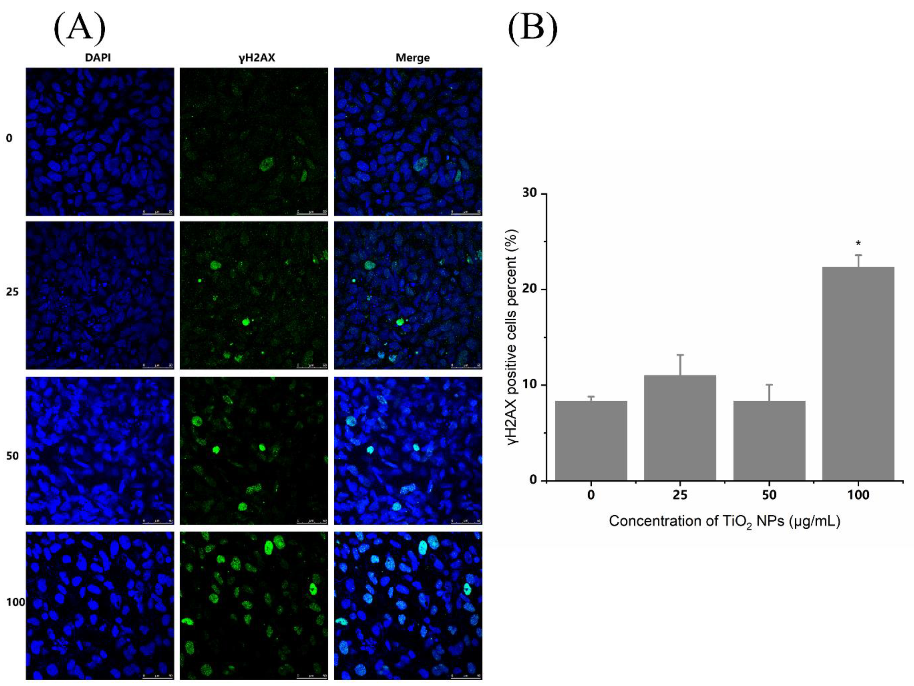 Nanomaterials 12 02616 g005 550