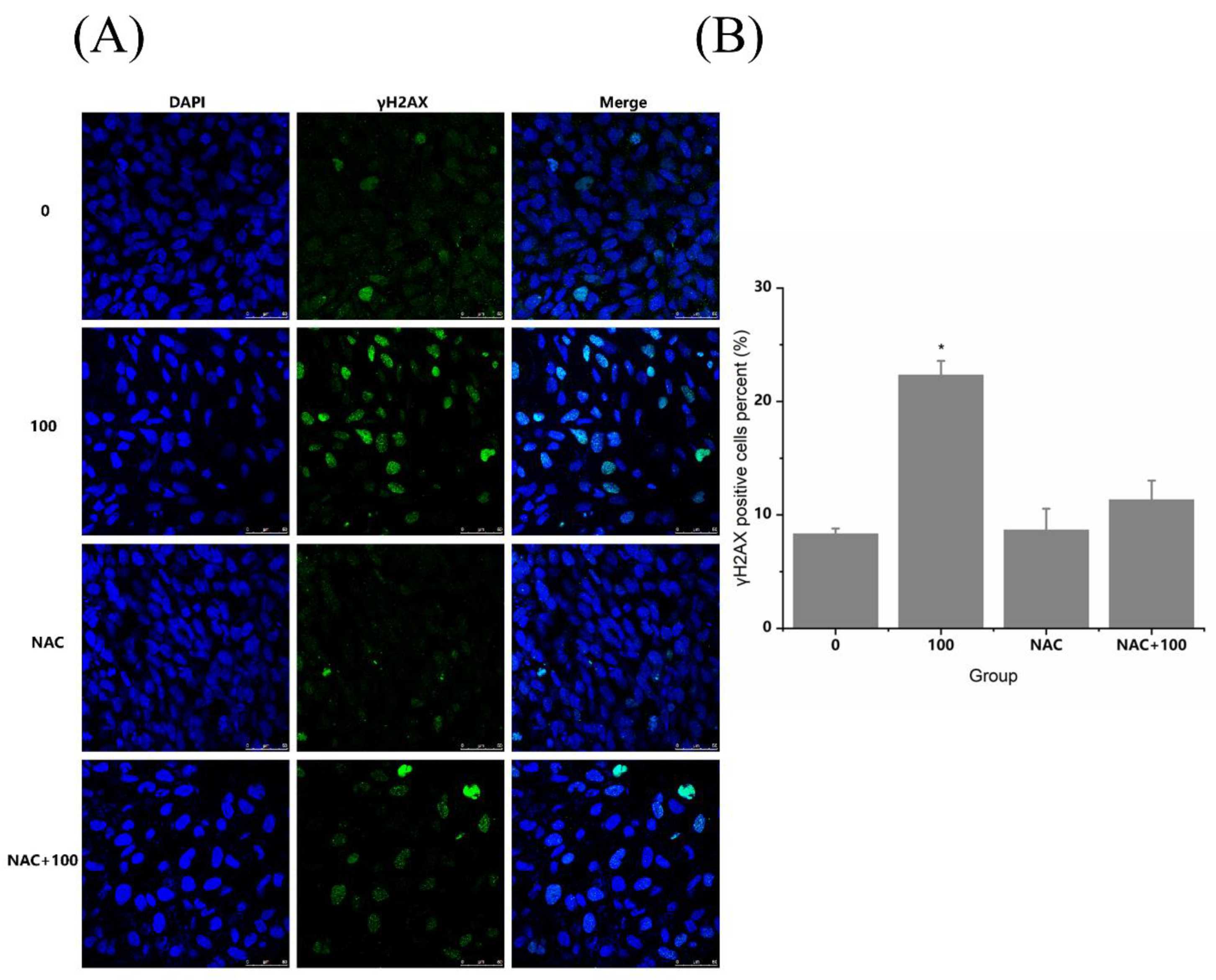 Nanomaterials 12 02616 g008 550