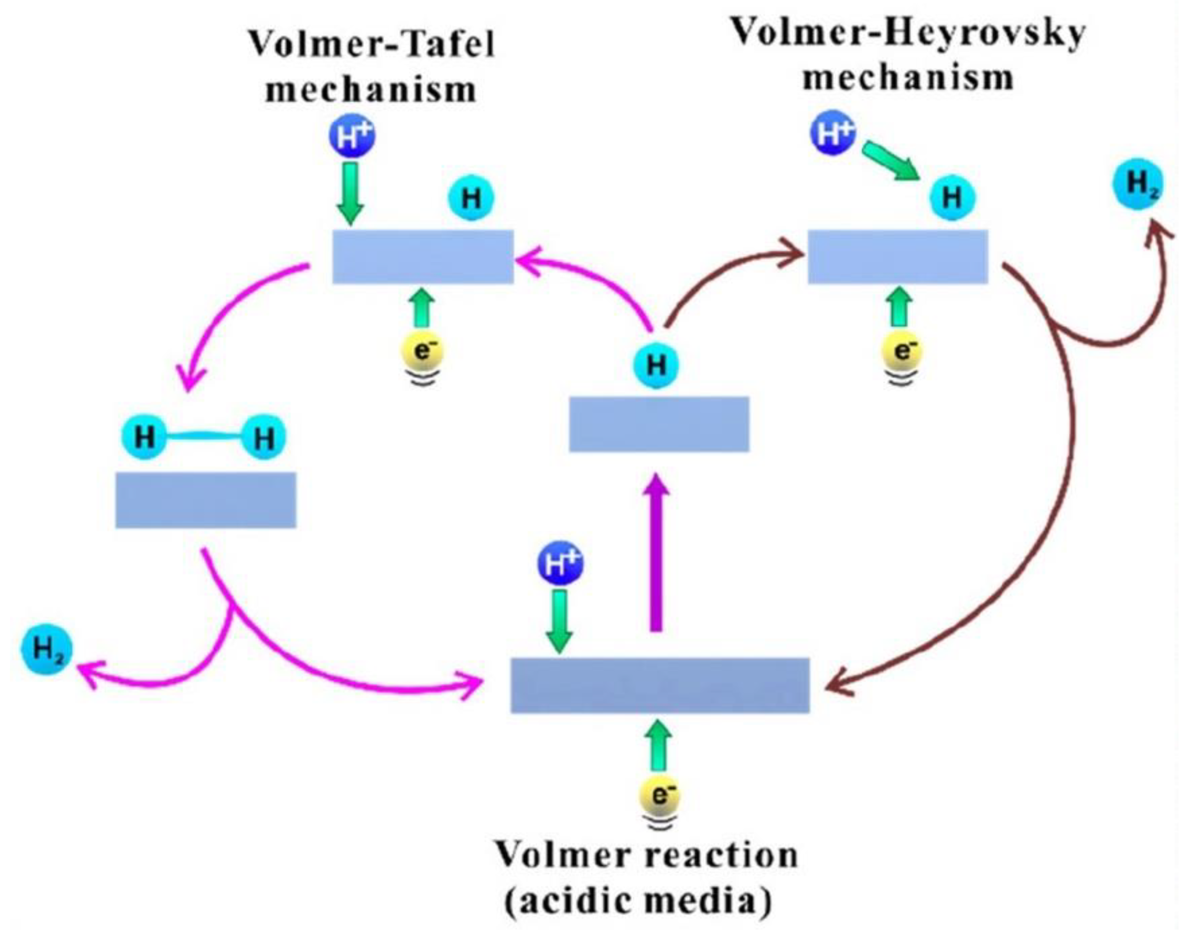 Nanomaterials 12 02618 g007 550