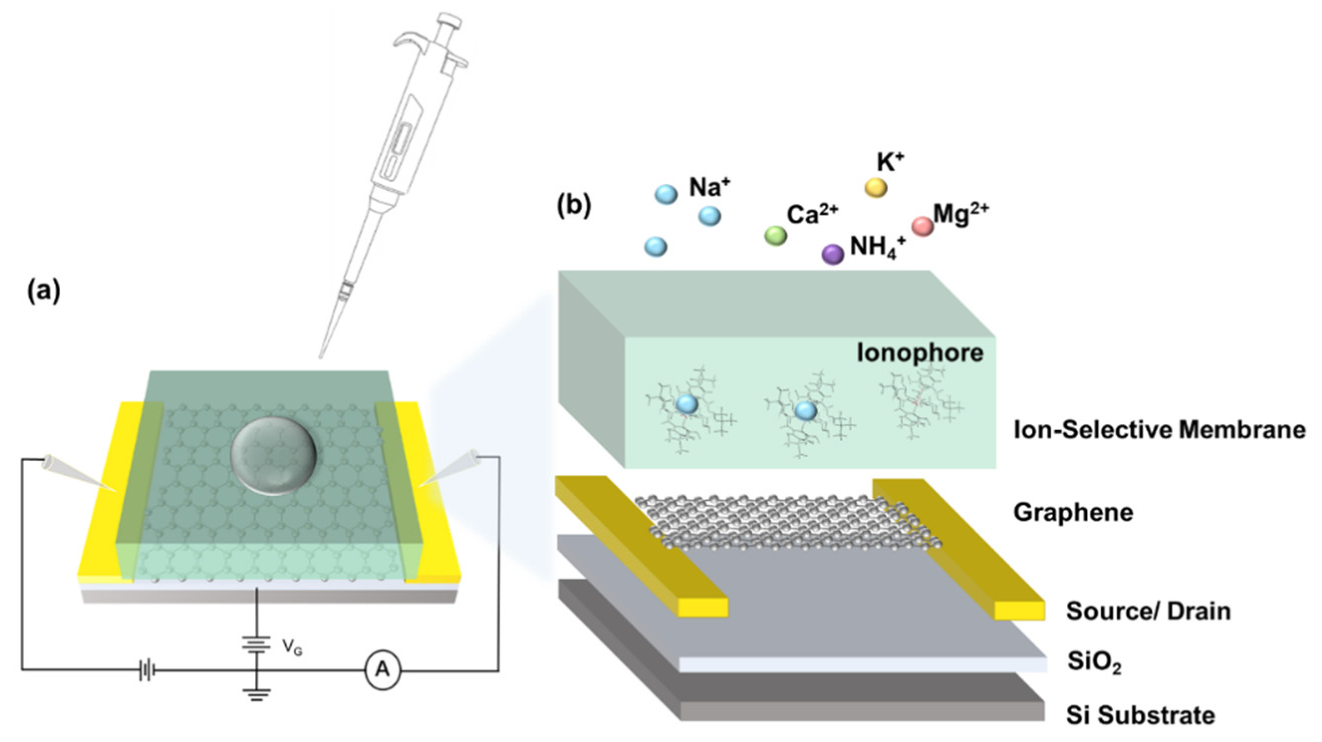 Nanomaterials 12 02620 g003
