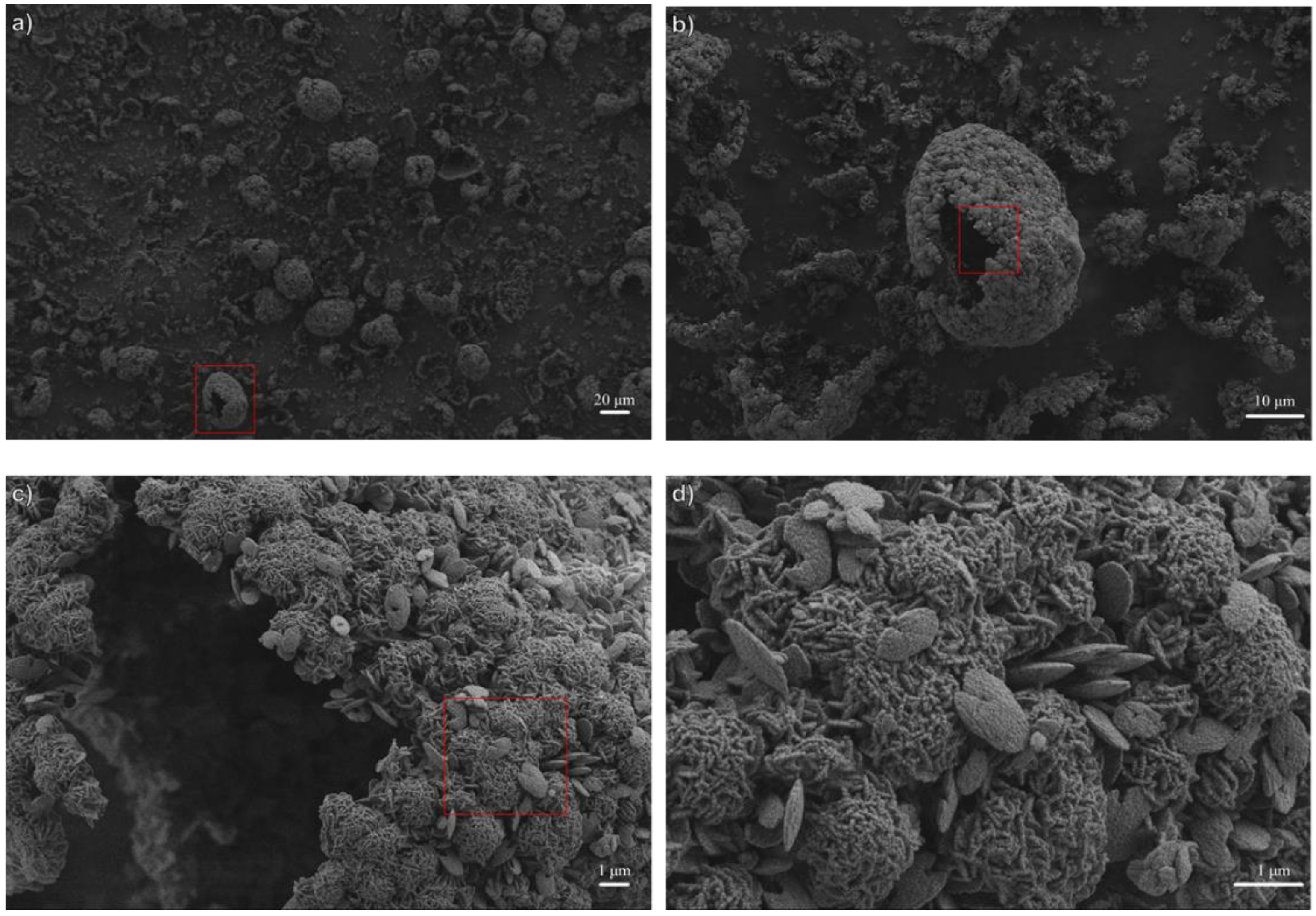 Nanomaterials 12 02623 g0a2