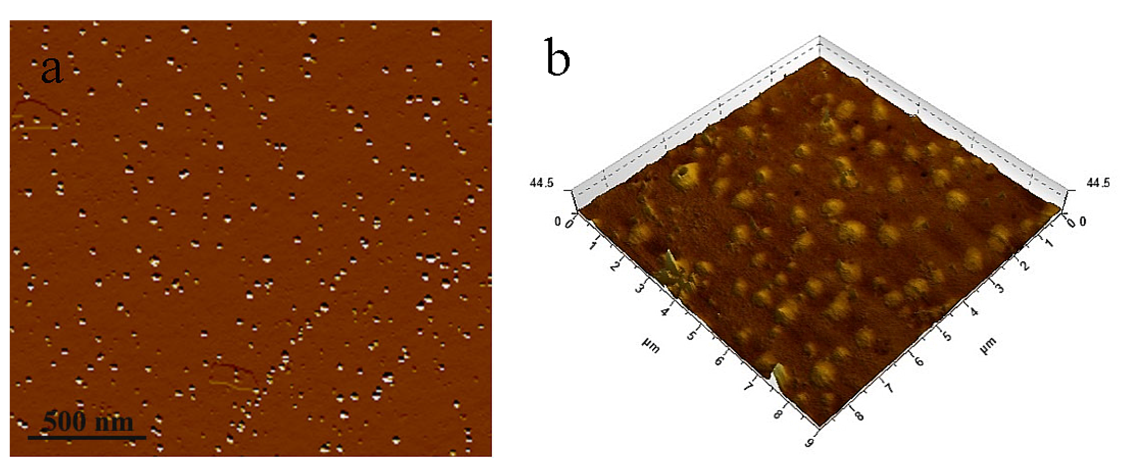 Nanomaterials 12 02624 g007