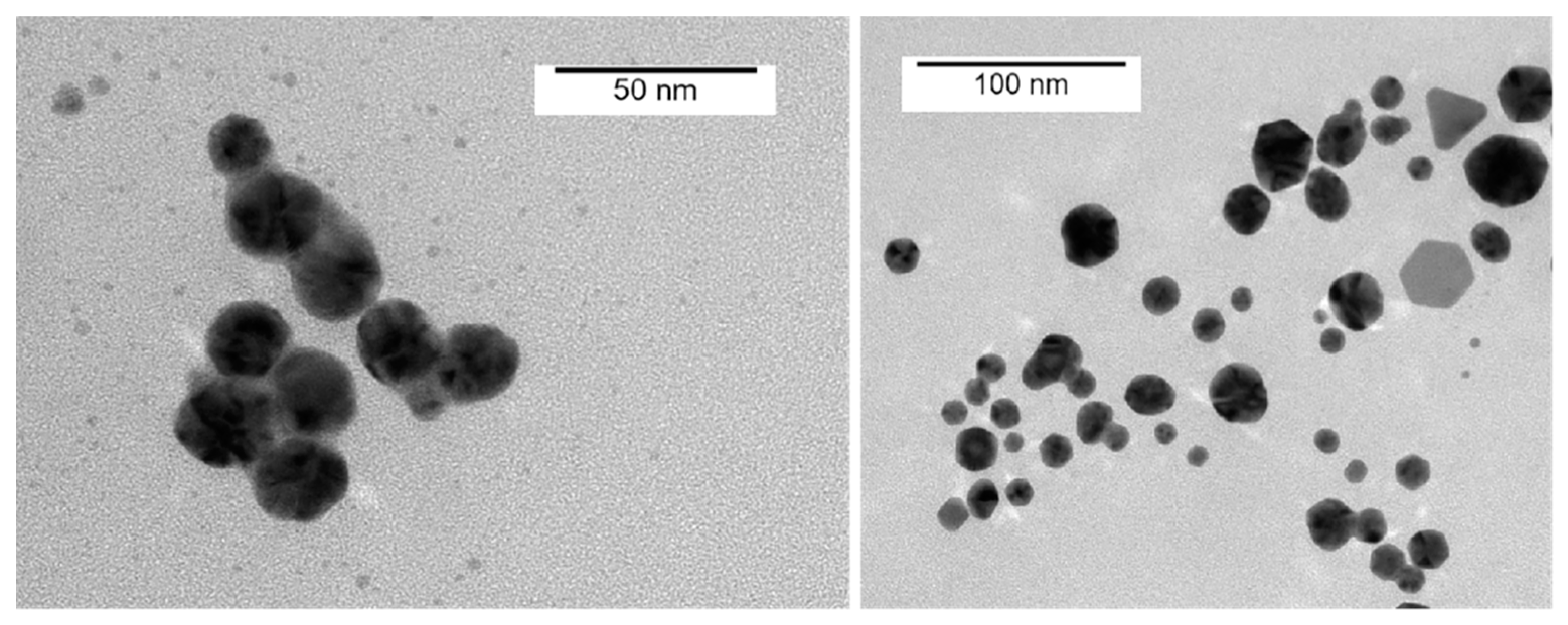 Nanomaterials 12 02636 g003 550