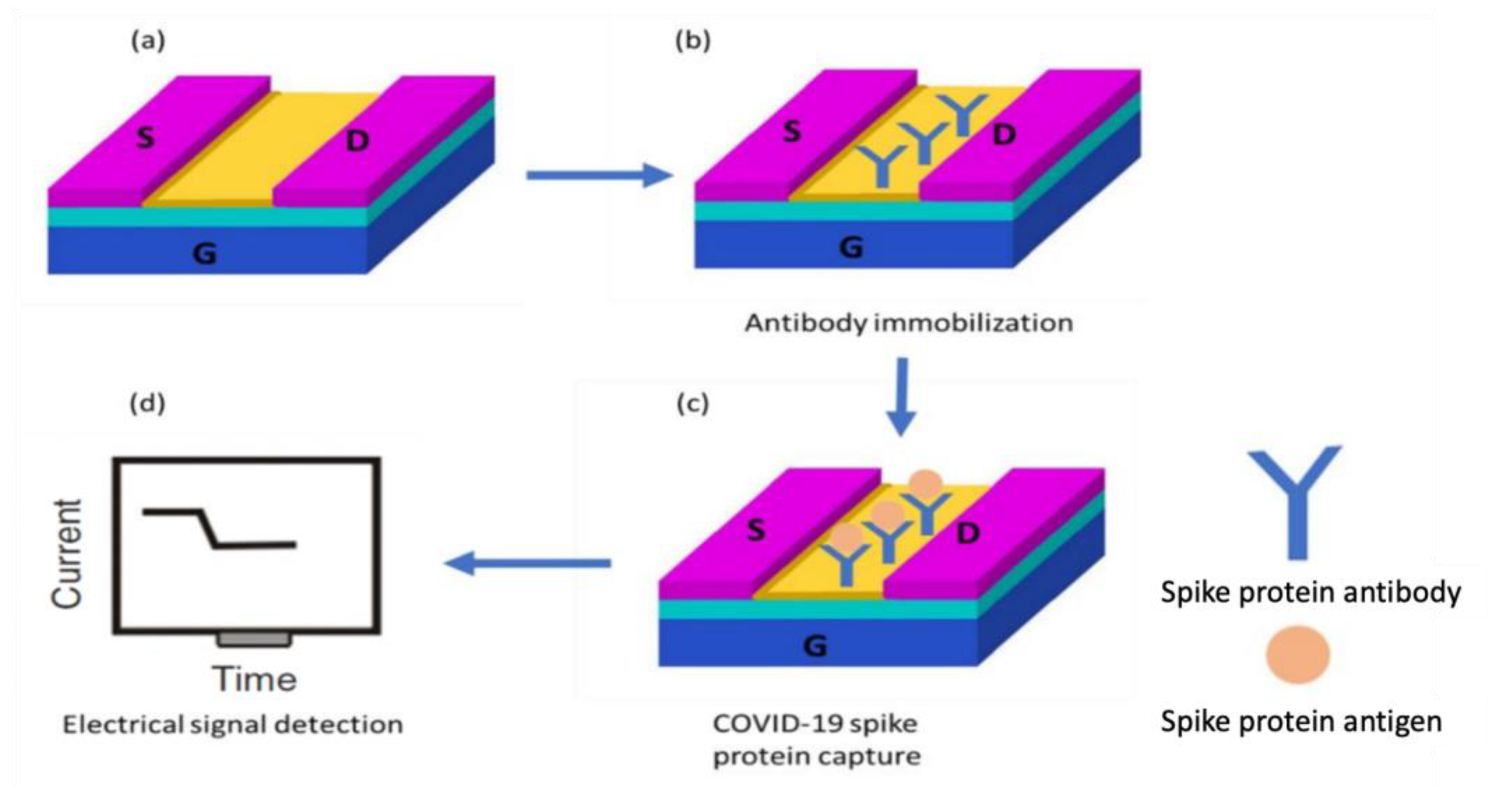 Nanomaterials 12 02638 g004